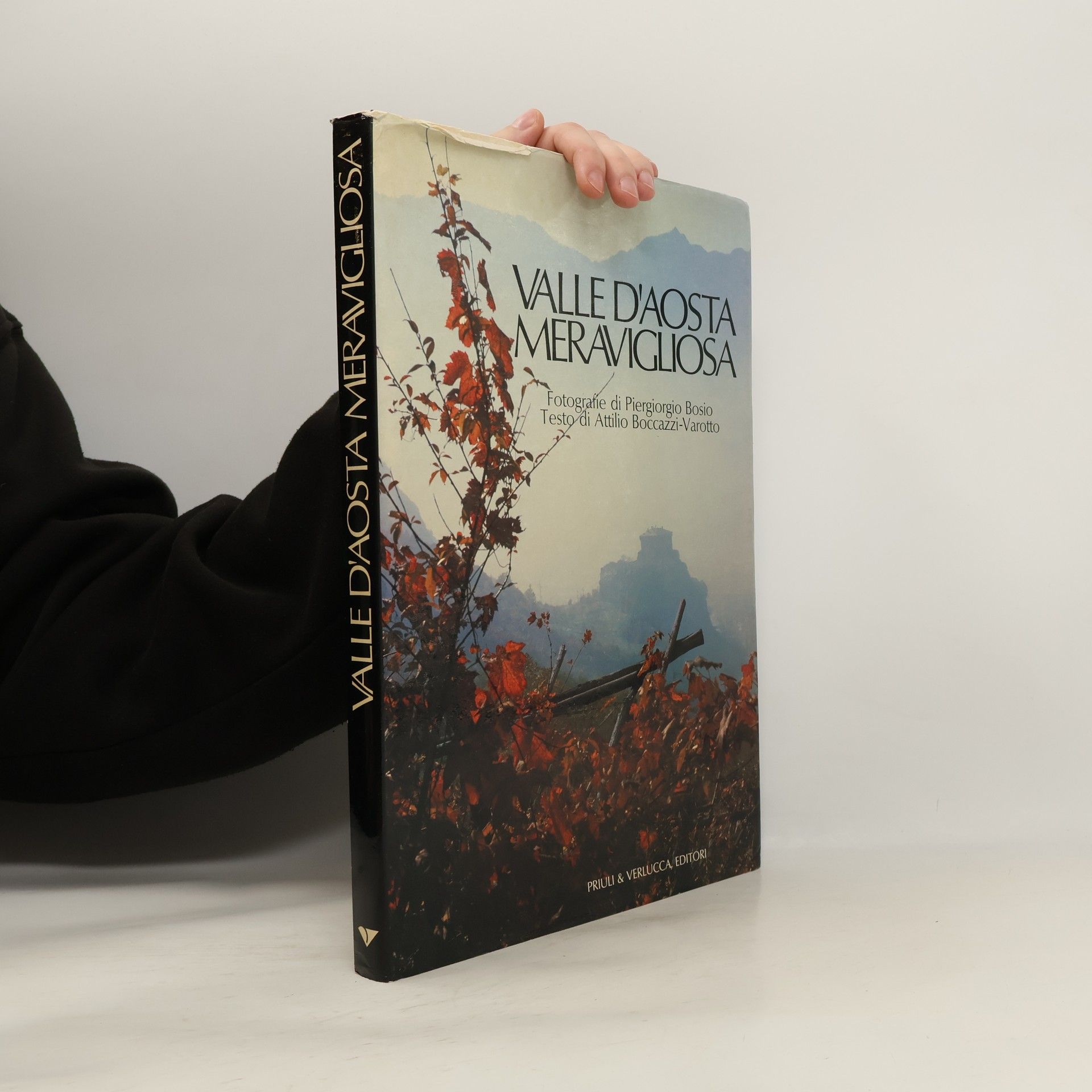 Piergiorgio Bosio Valle D´ Aosta Meravigliosa