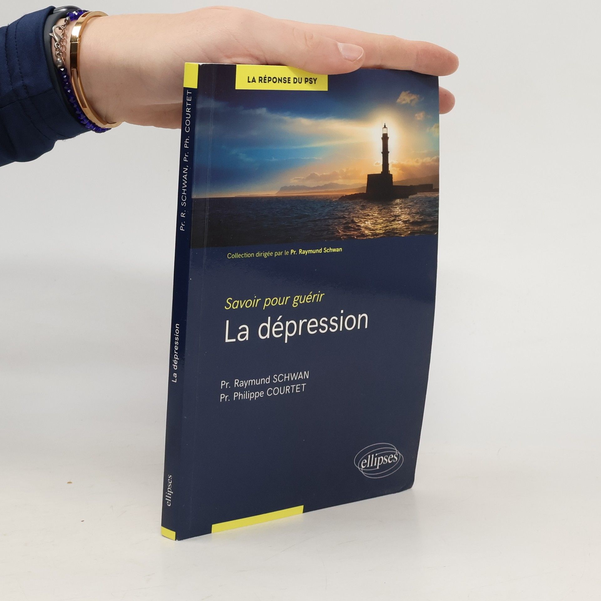 Raymund Schwan La dépression