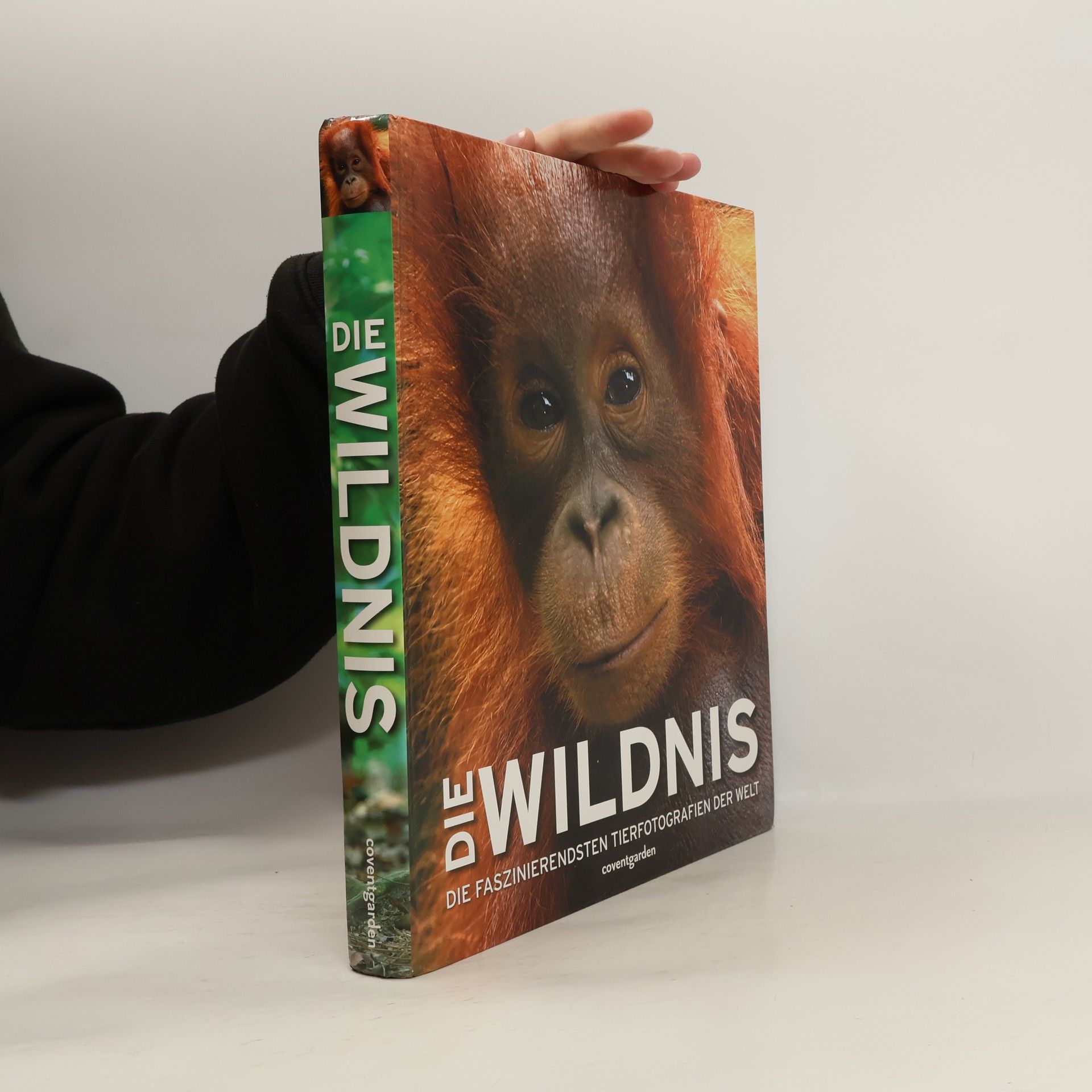 Die Wildnis