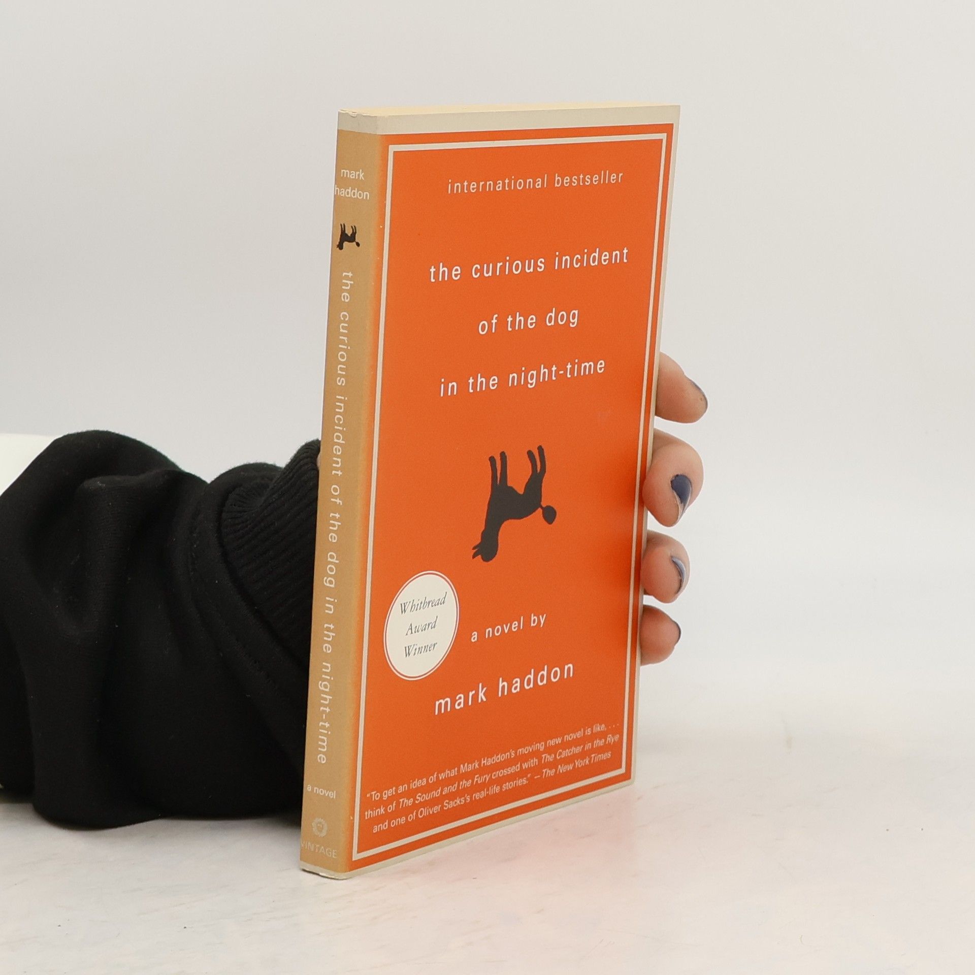 Mark Haddon The curious incident of the dog in the night-time