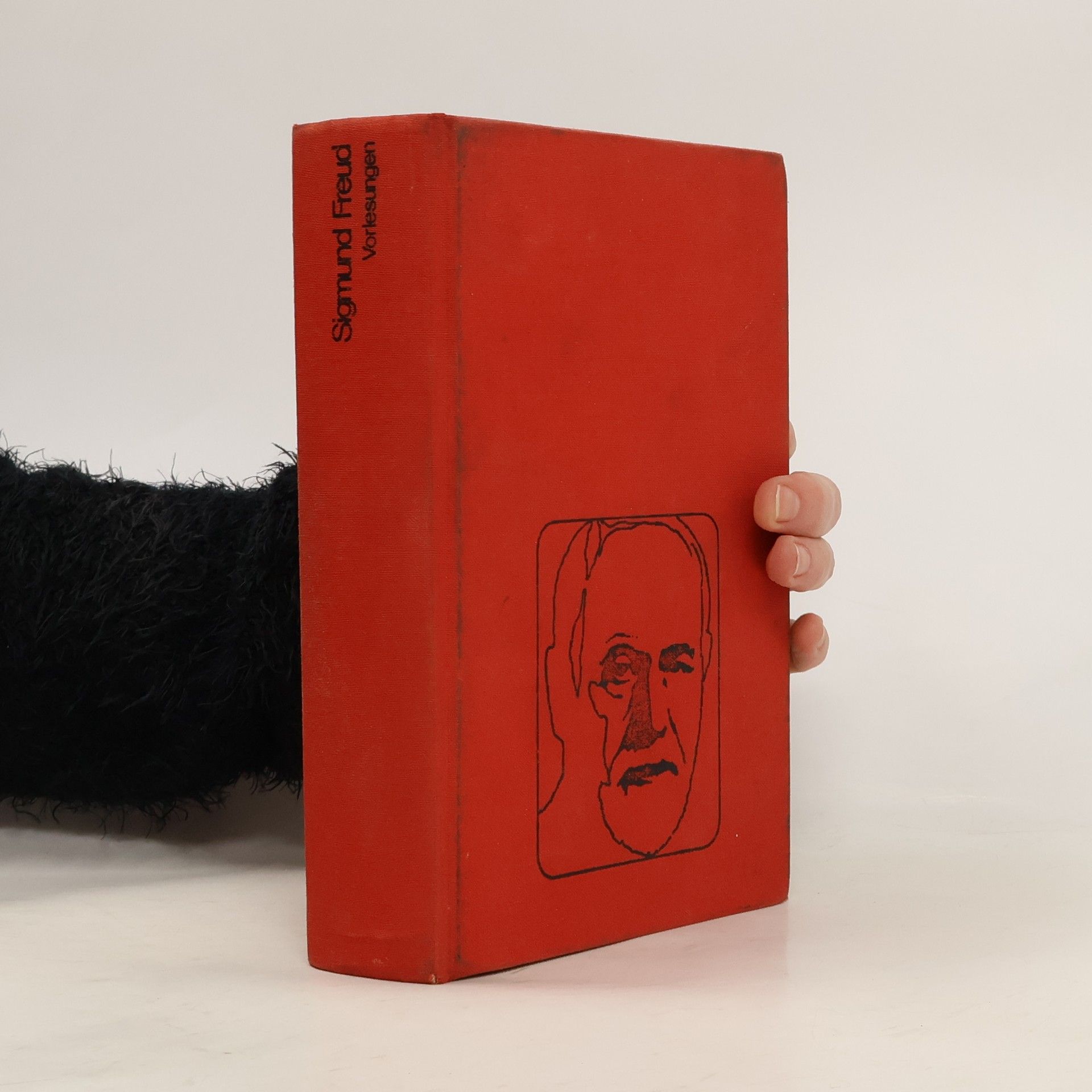 Sigmund Freud Vorlesungen