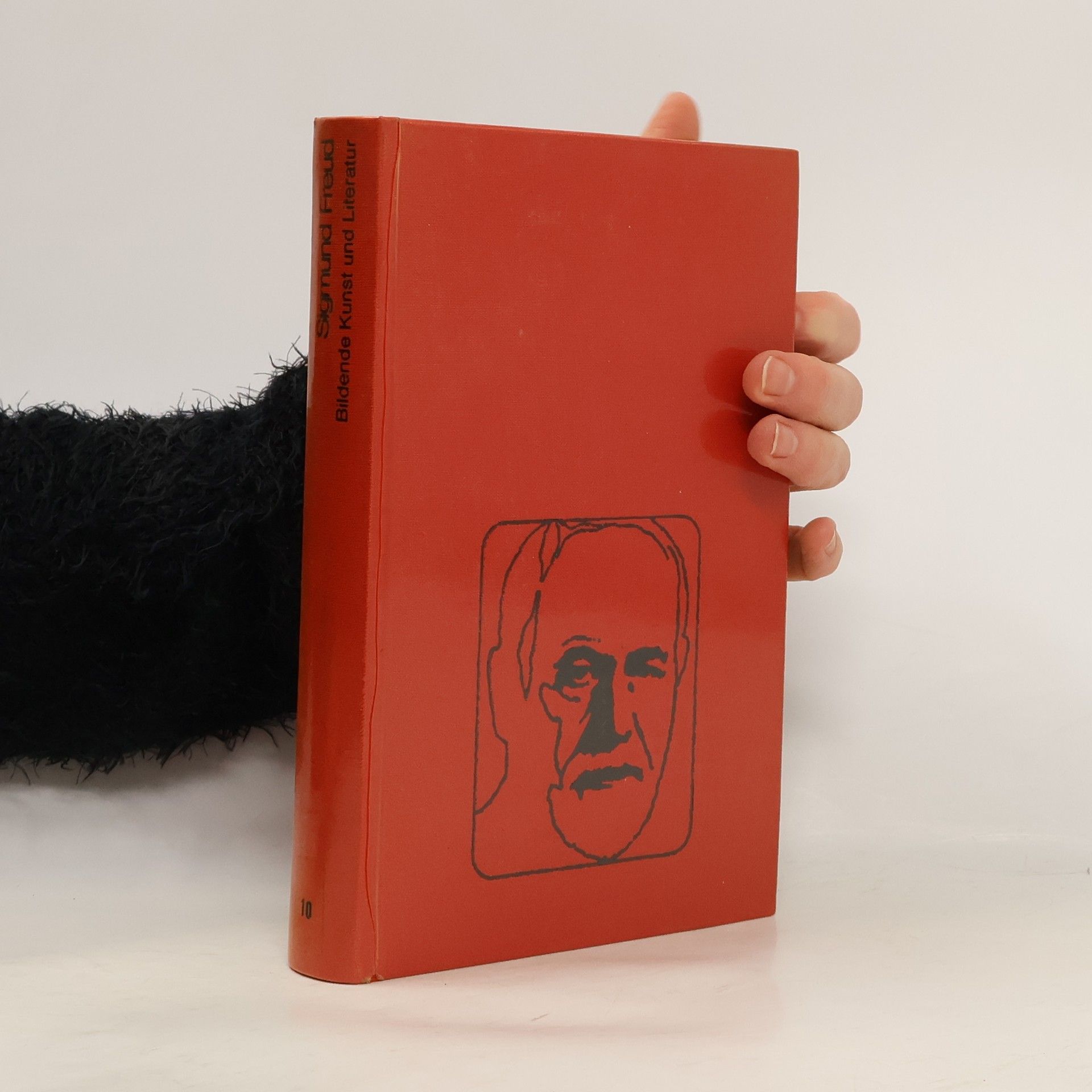 Bildende Kunst und Literatur