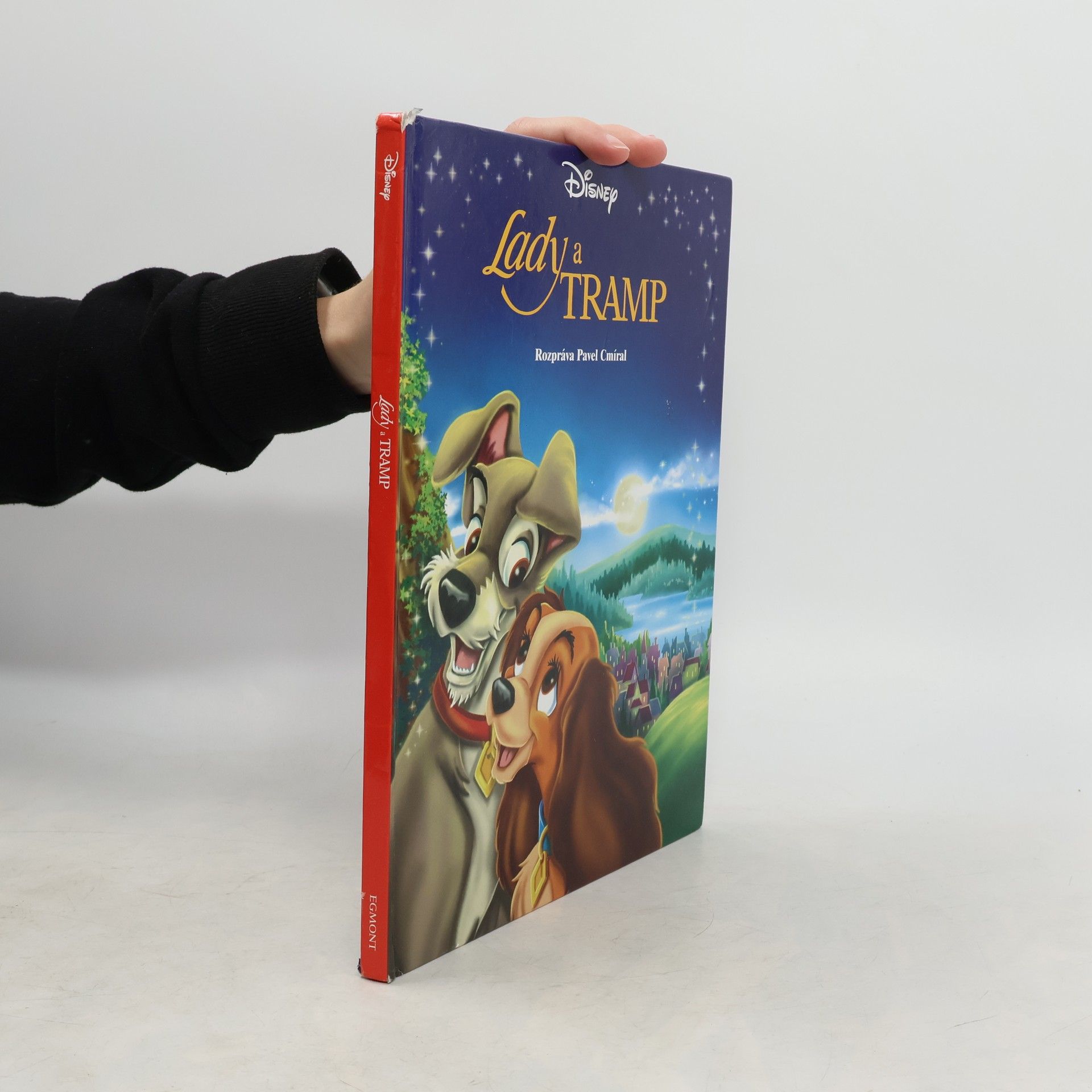 Collectif d'auteurs Lady a Tramp