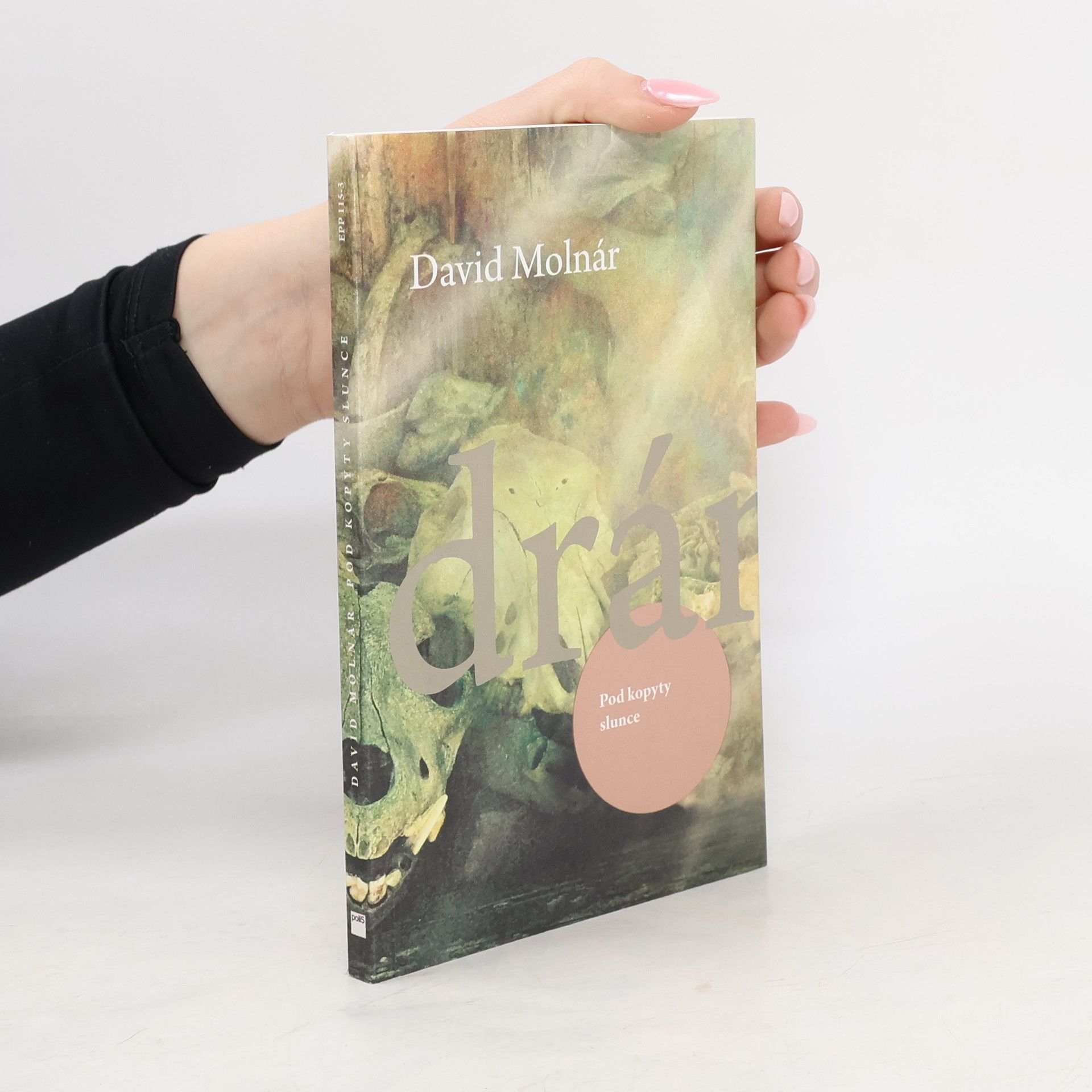 David Molnár Pod kopyty slunce