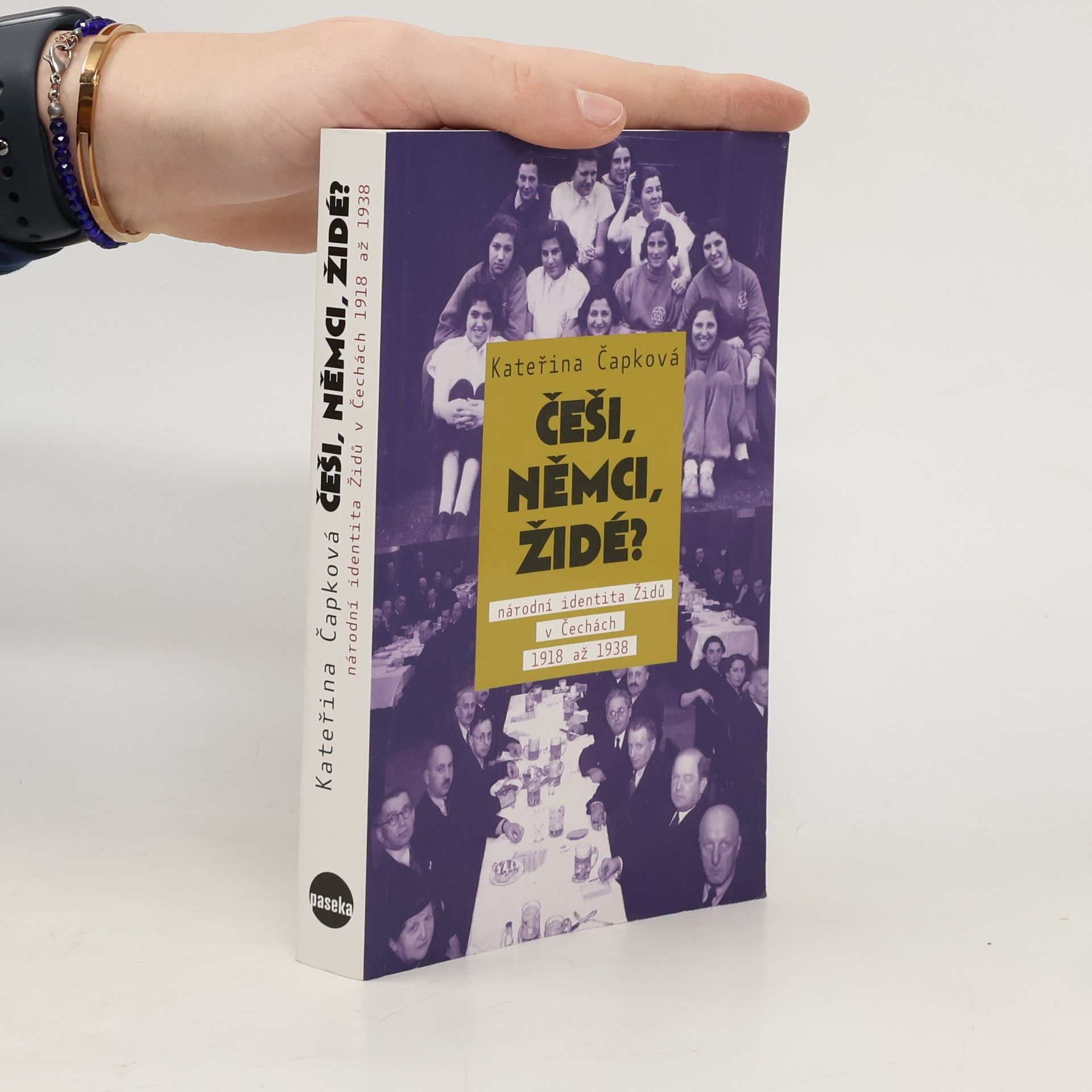 Češi, Němci, Židé? Národní identita Židů v Čechách 1918 až 1938.