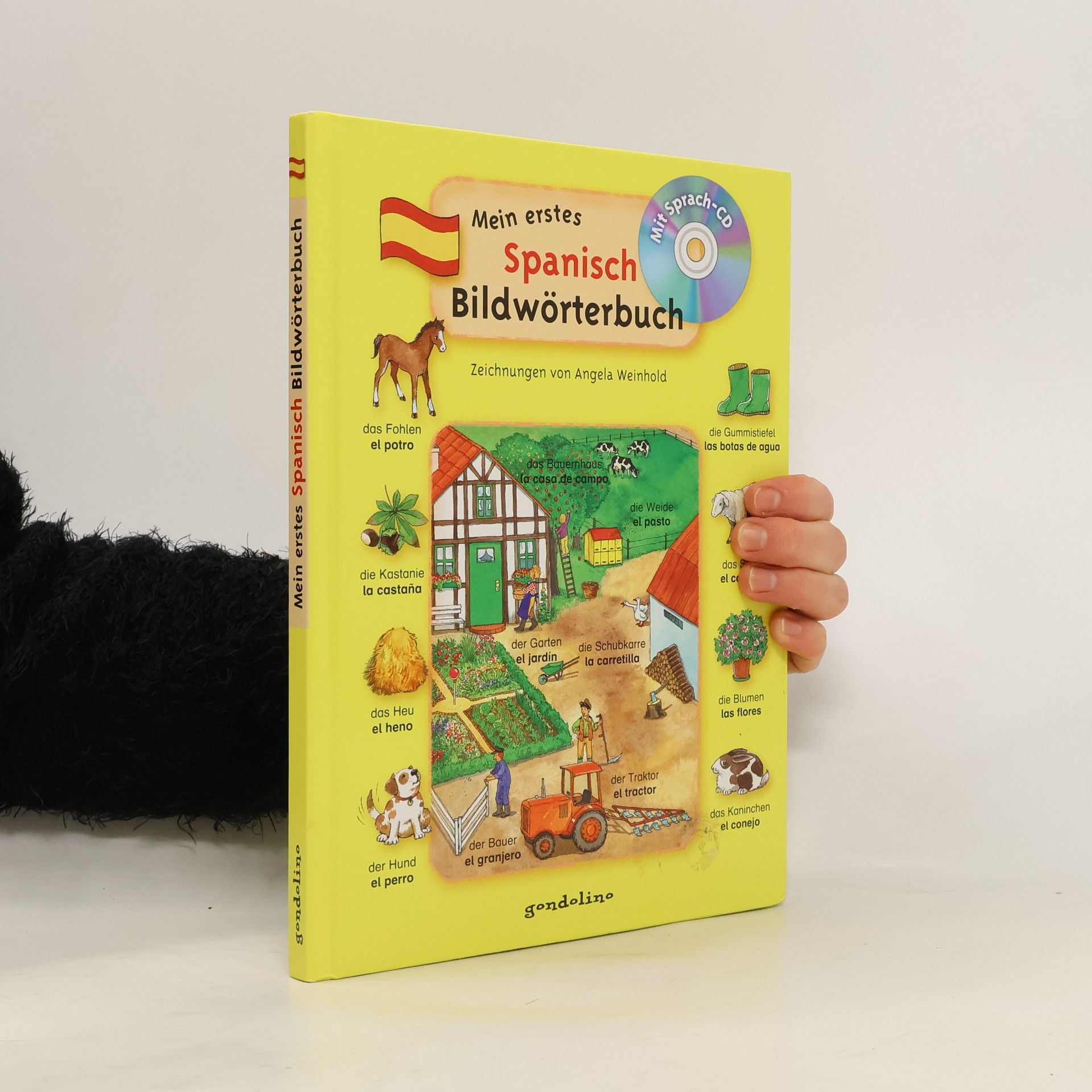 Angela Weinhold Mein erstes Spanisch Bildwörterbuch