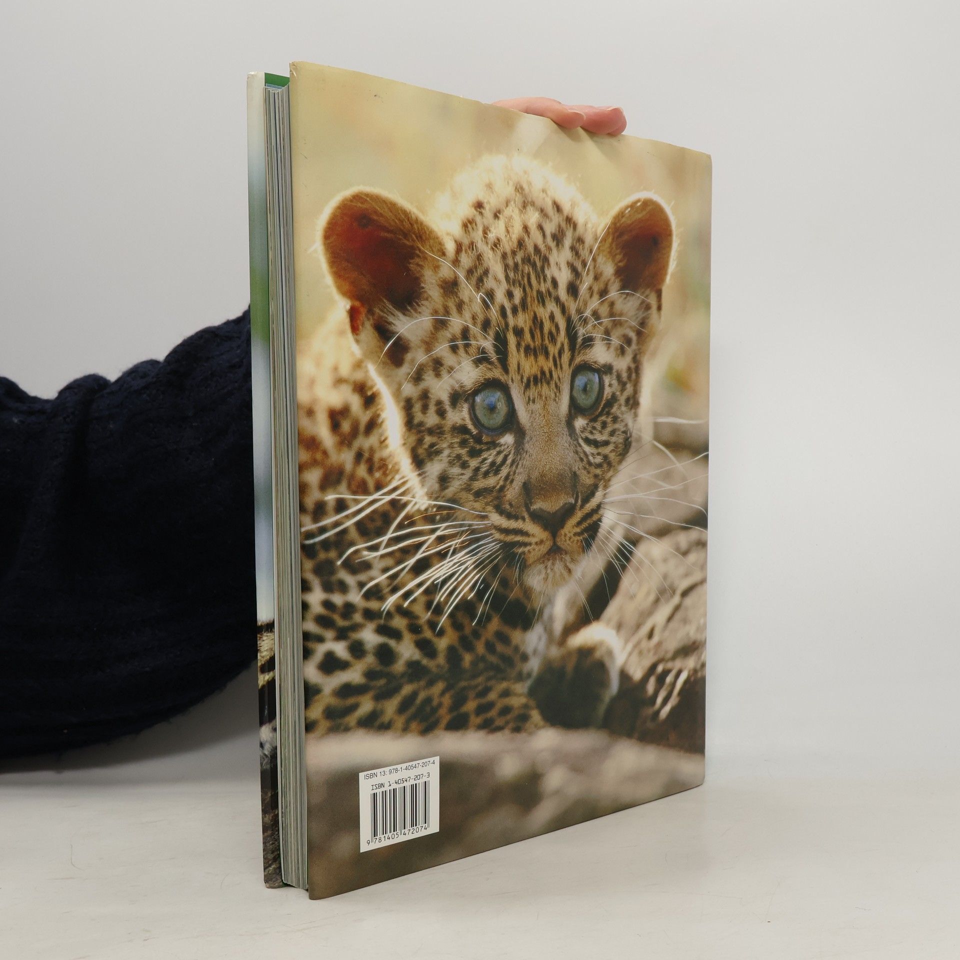 Mike Briggs Raubkatzen wild und faszinierend