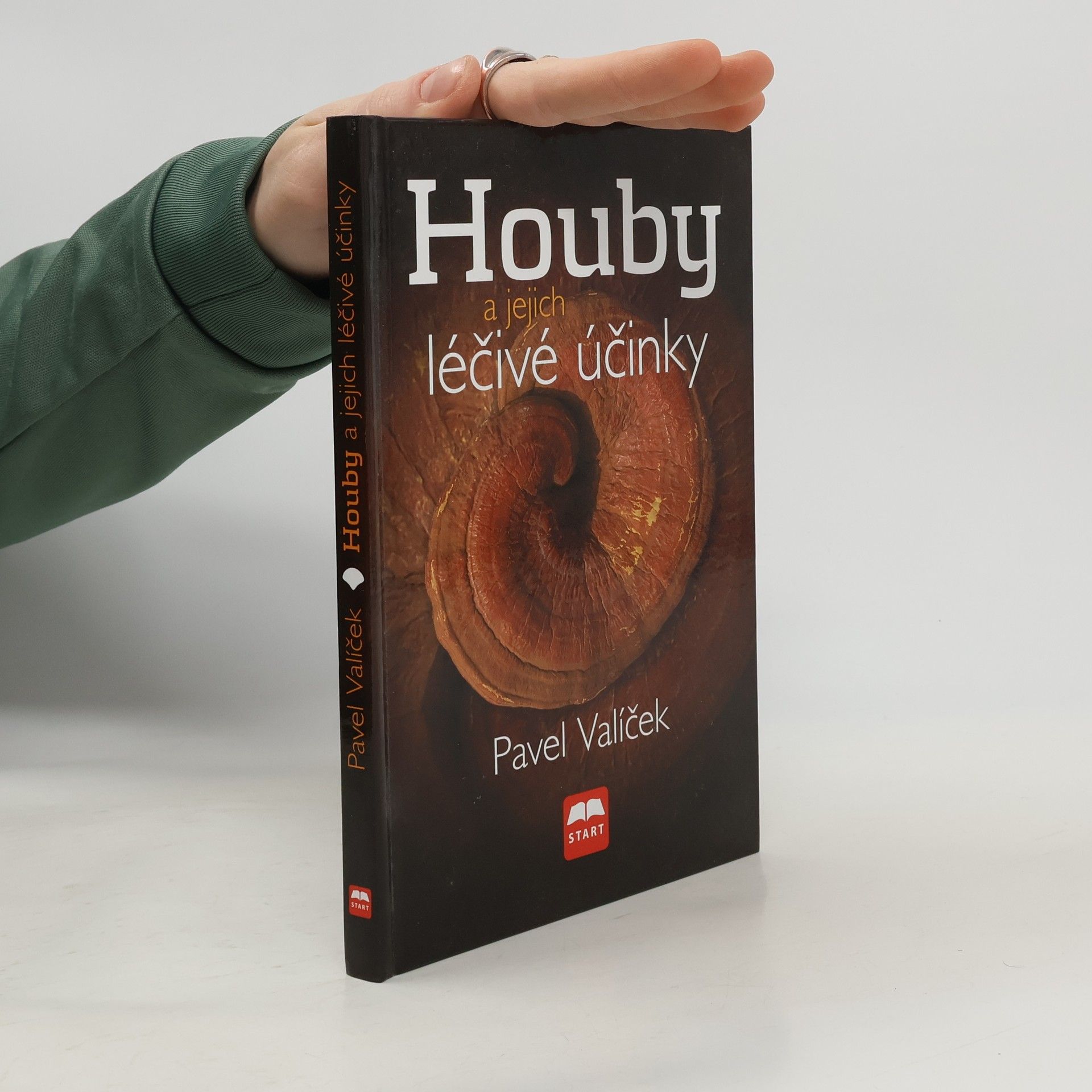 Houby a jejich léčivé účinky