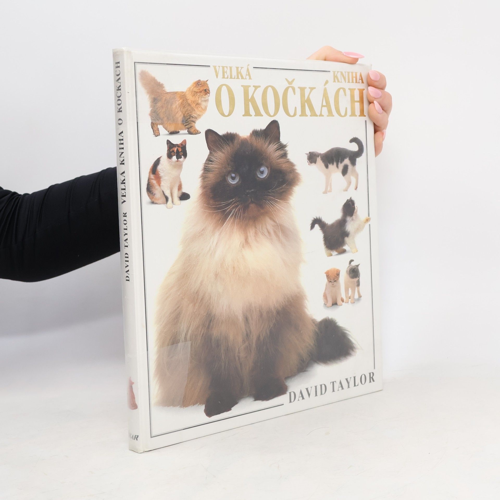 Velká kniha o kočkách