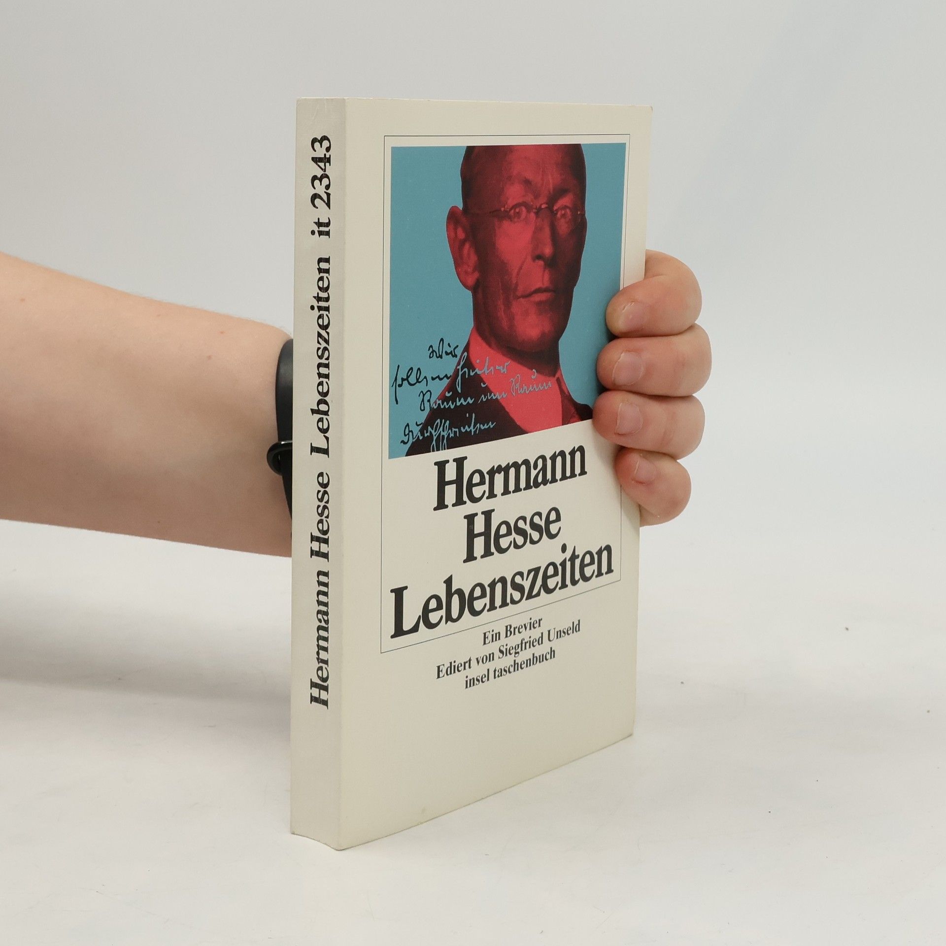 Hermann Hesse Lebenszeiten