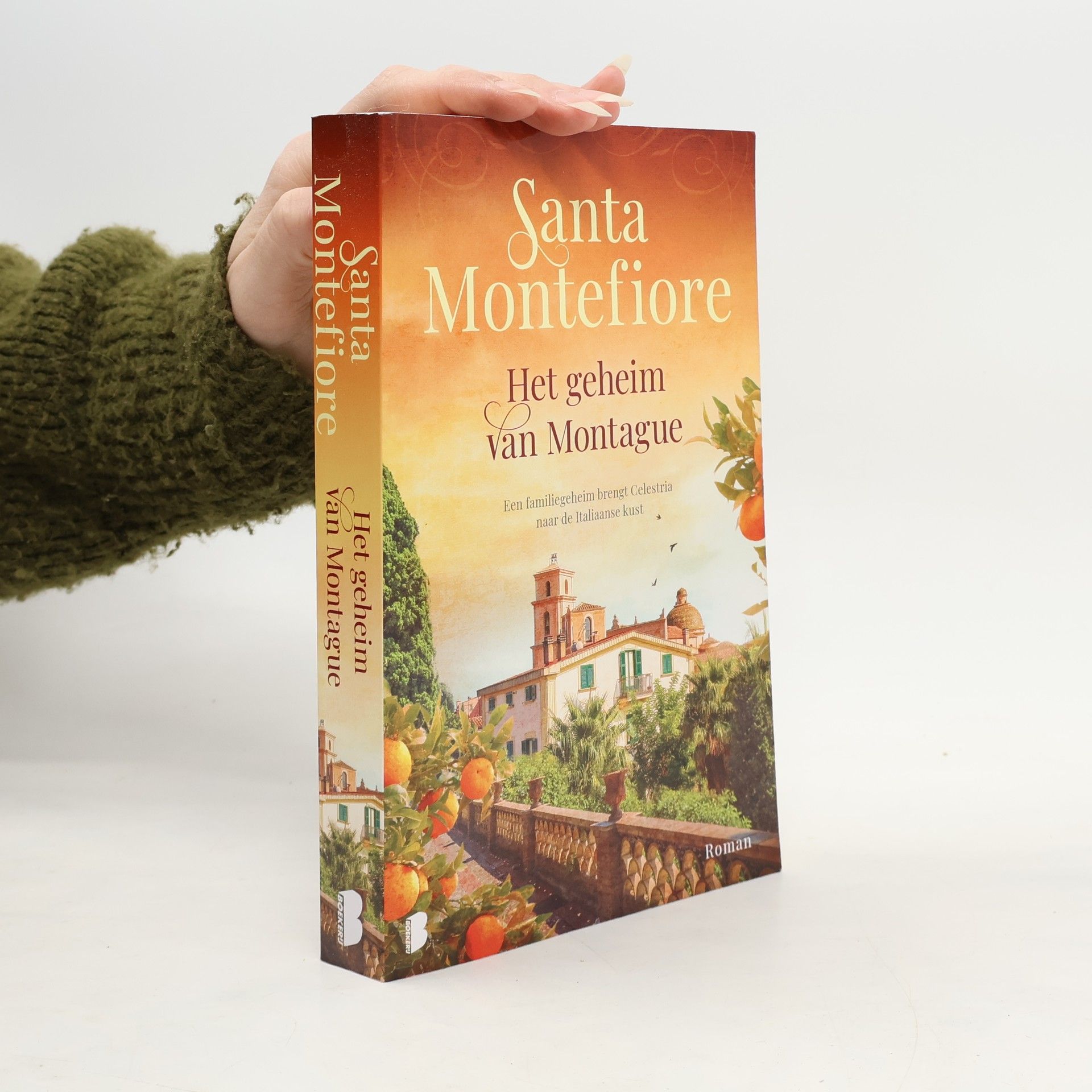 Santa Montefiore Het geheim van Montague