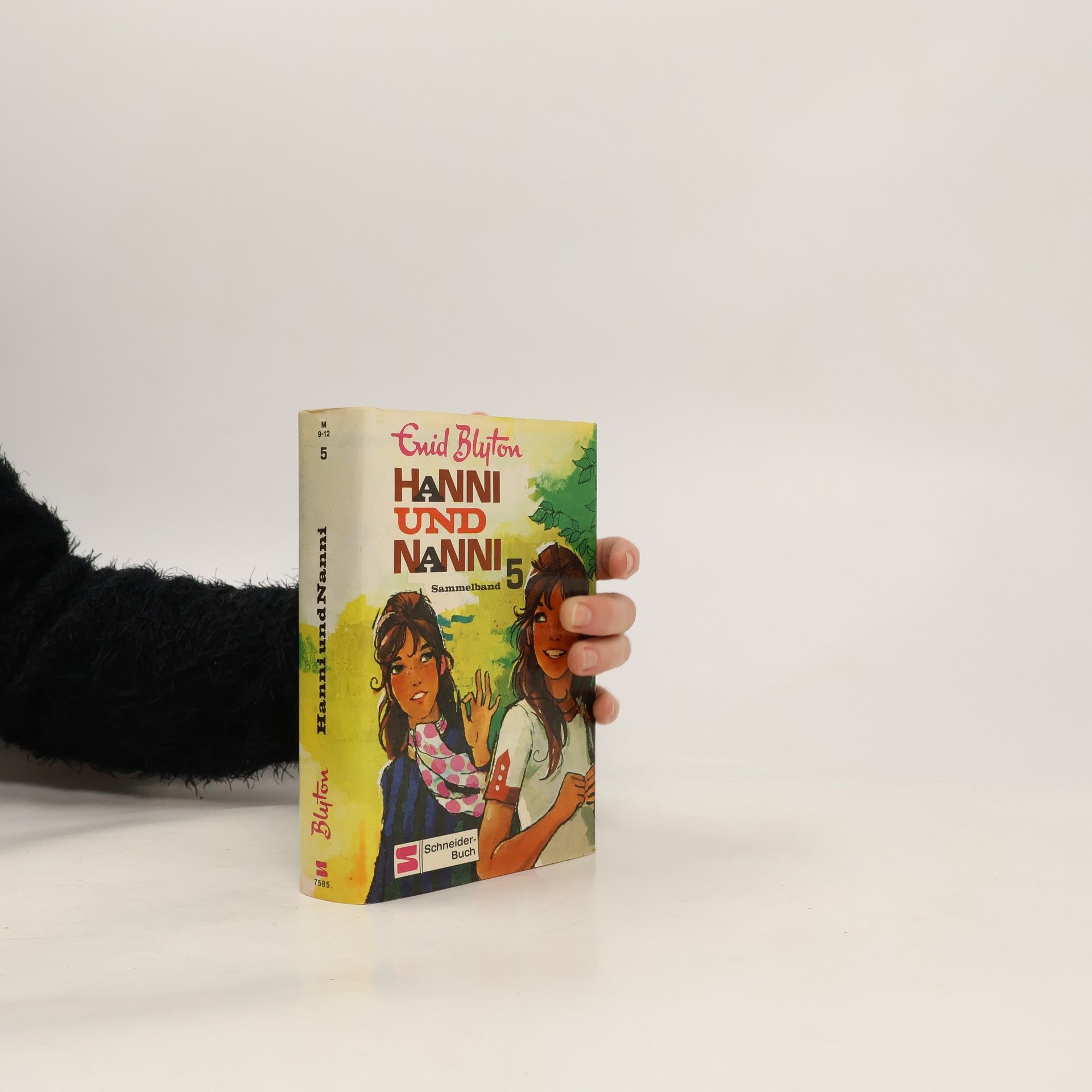 Enid Blyton Hanni und Nanni 5