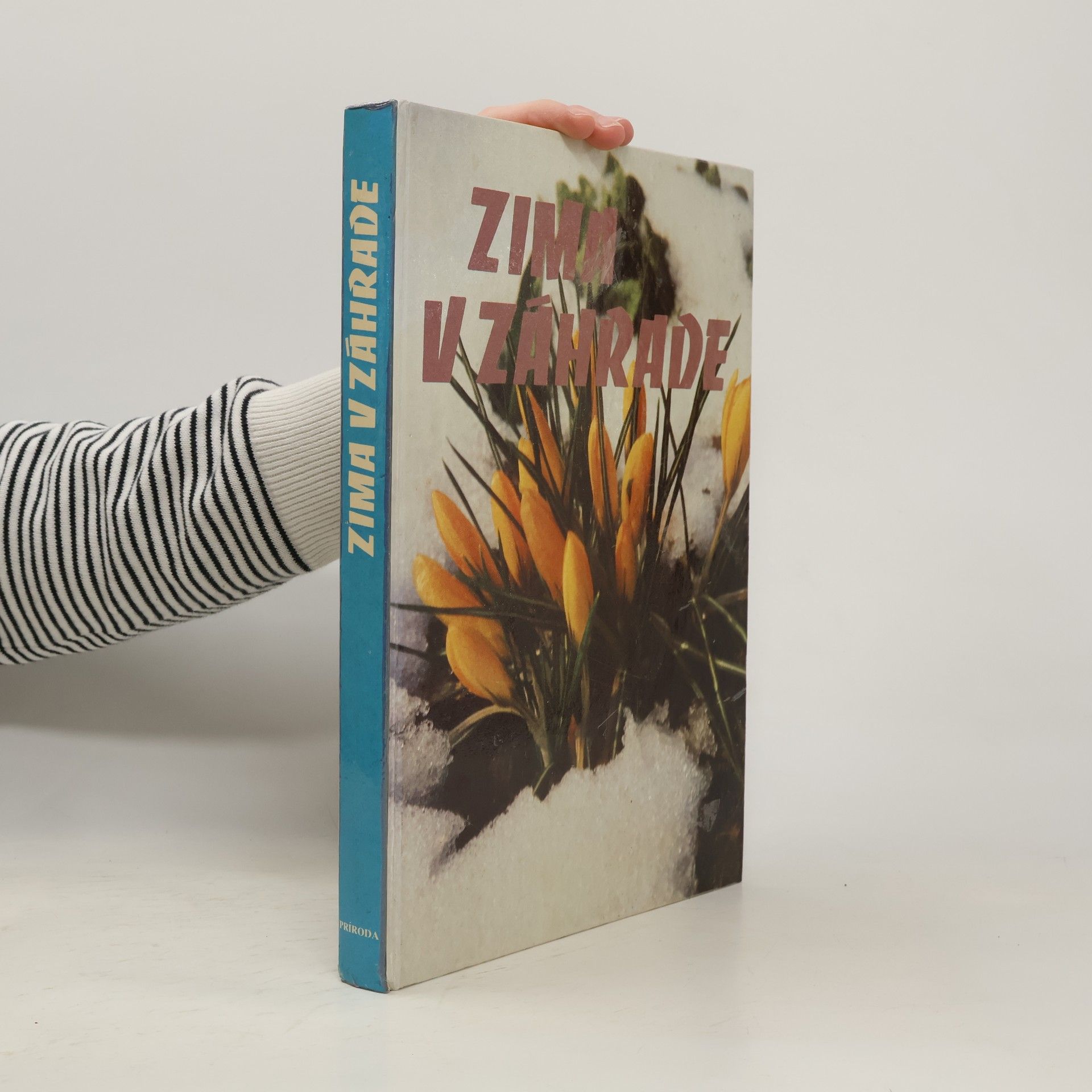 Dora Sopčáková Zima v záhrade