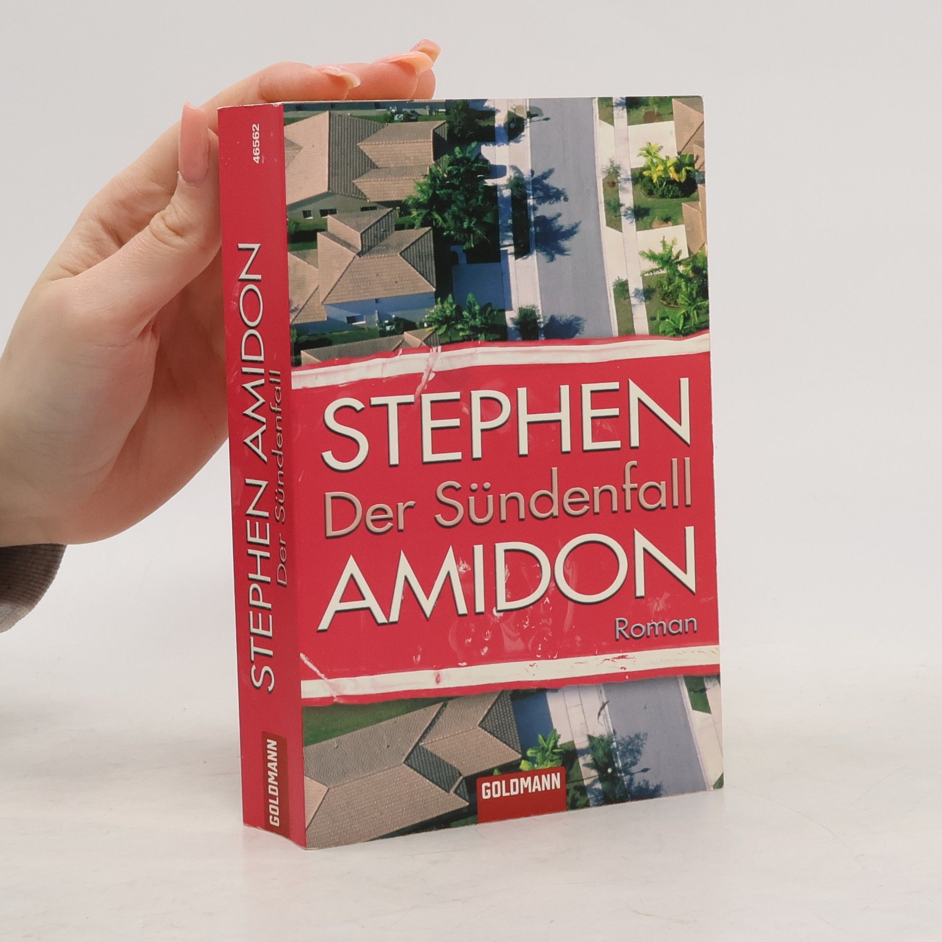 Stephen Amidon Der Sündenfall