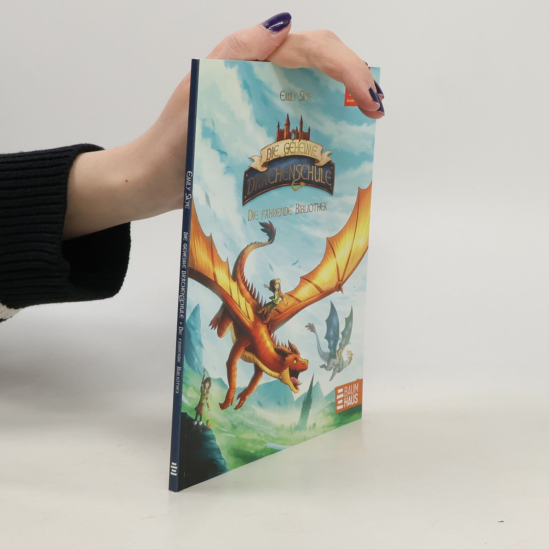 Emily Skye Die geheime Drachenschule. Die Fährende Bibliothek