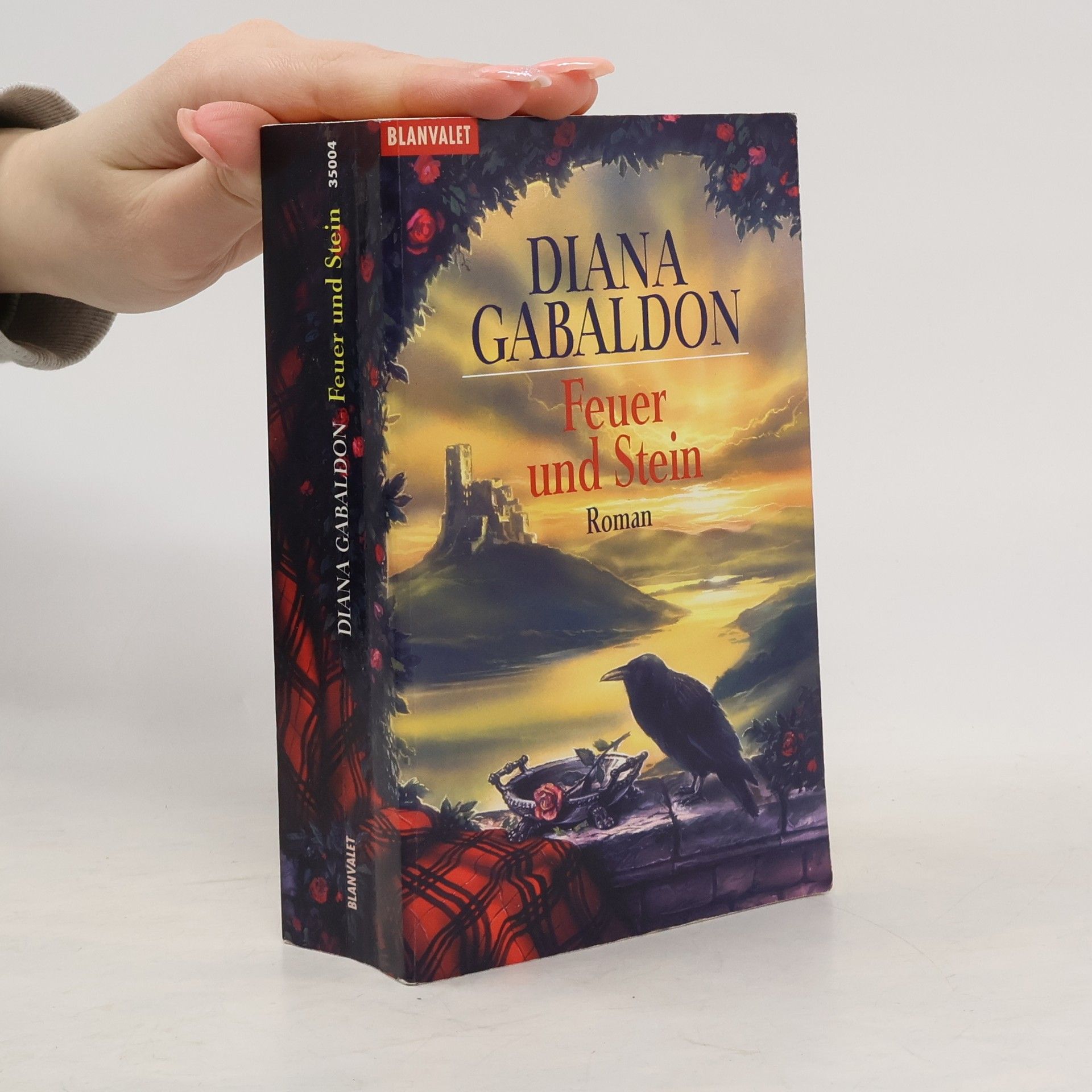 Diana Gabaldon Feuer und Stein
