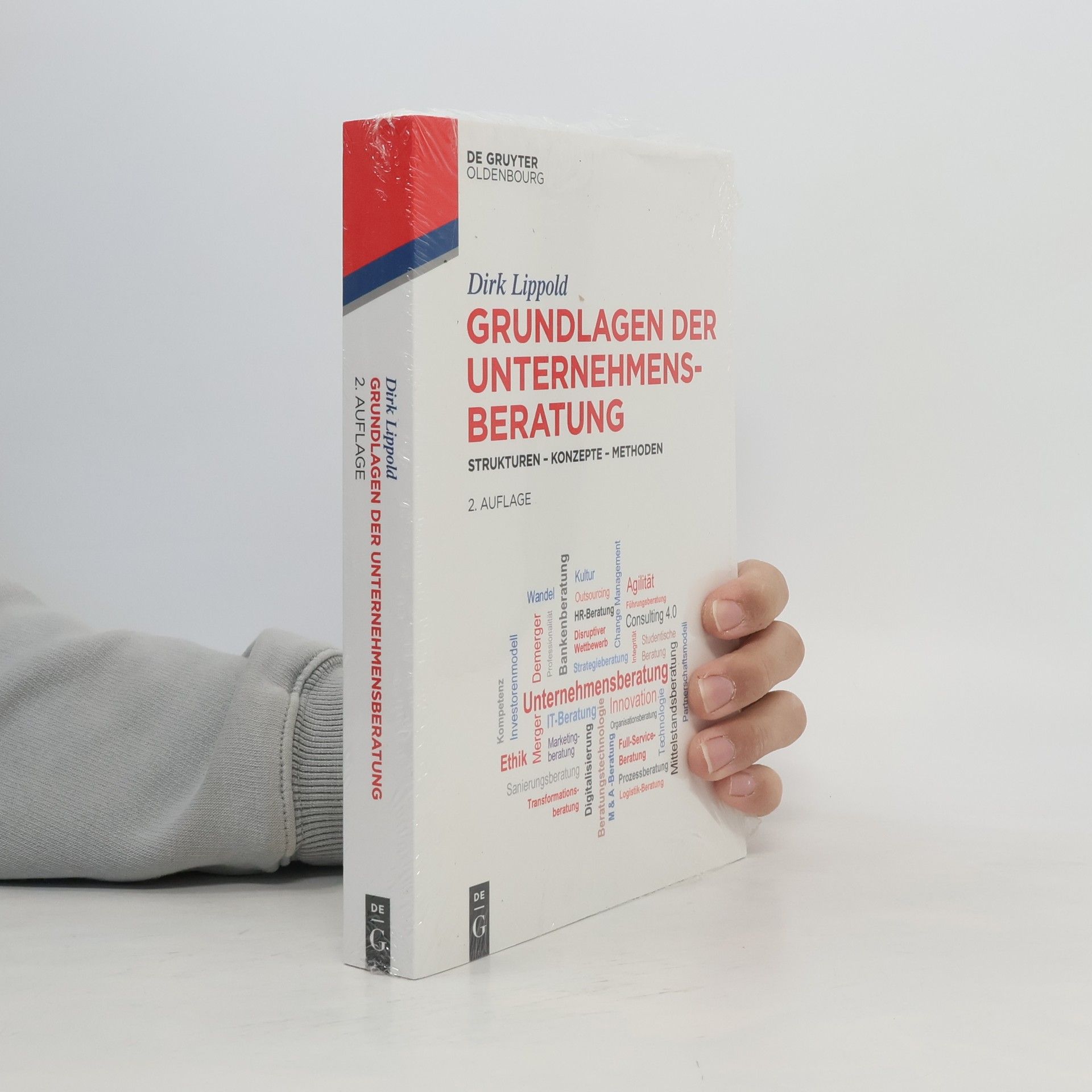 Dirk Lippold Grundlagen der Unternehmensberatung