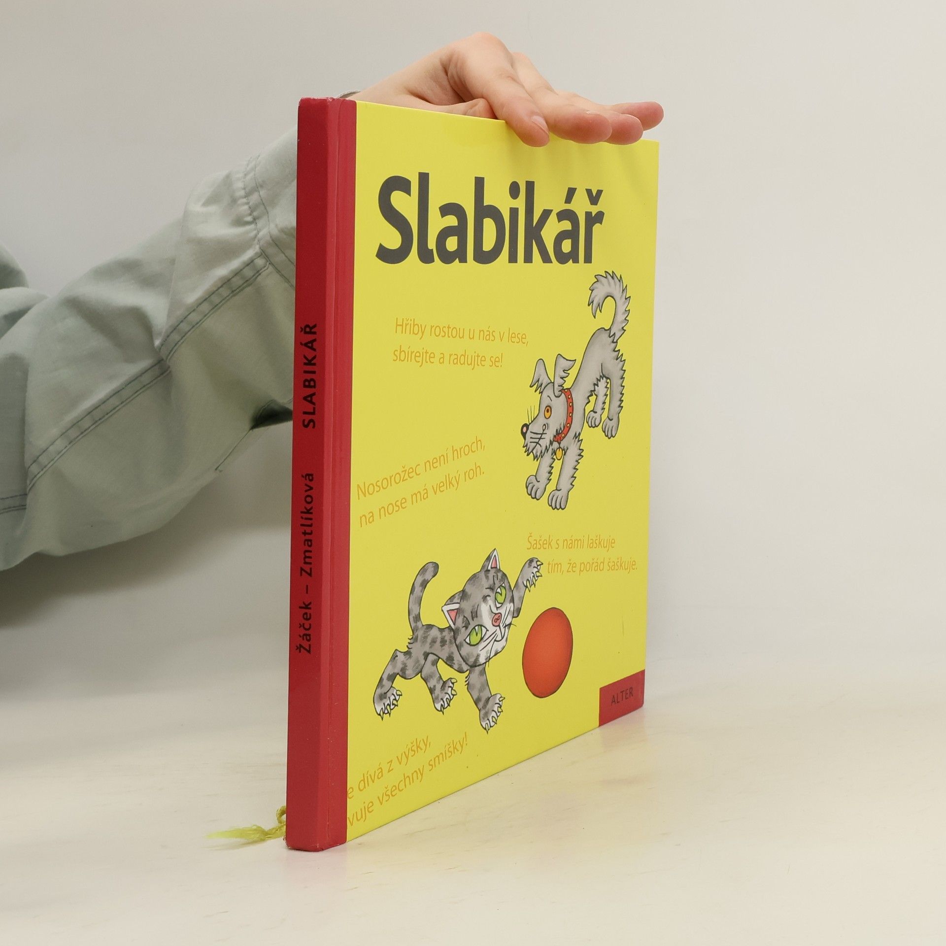 Slabikář : učebnice pro vzdělávací obor Český jazyk a literatura