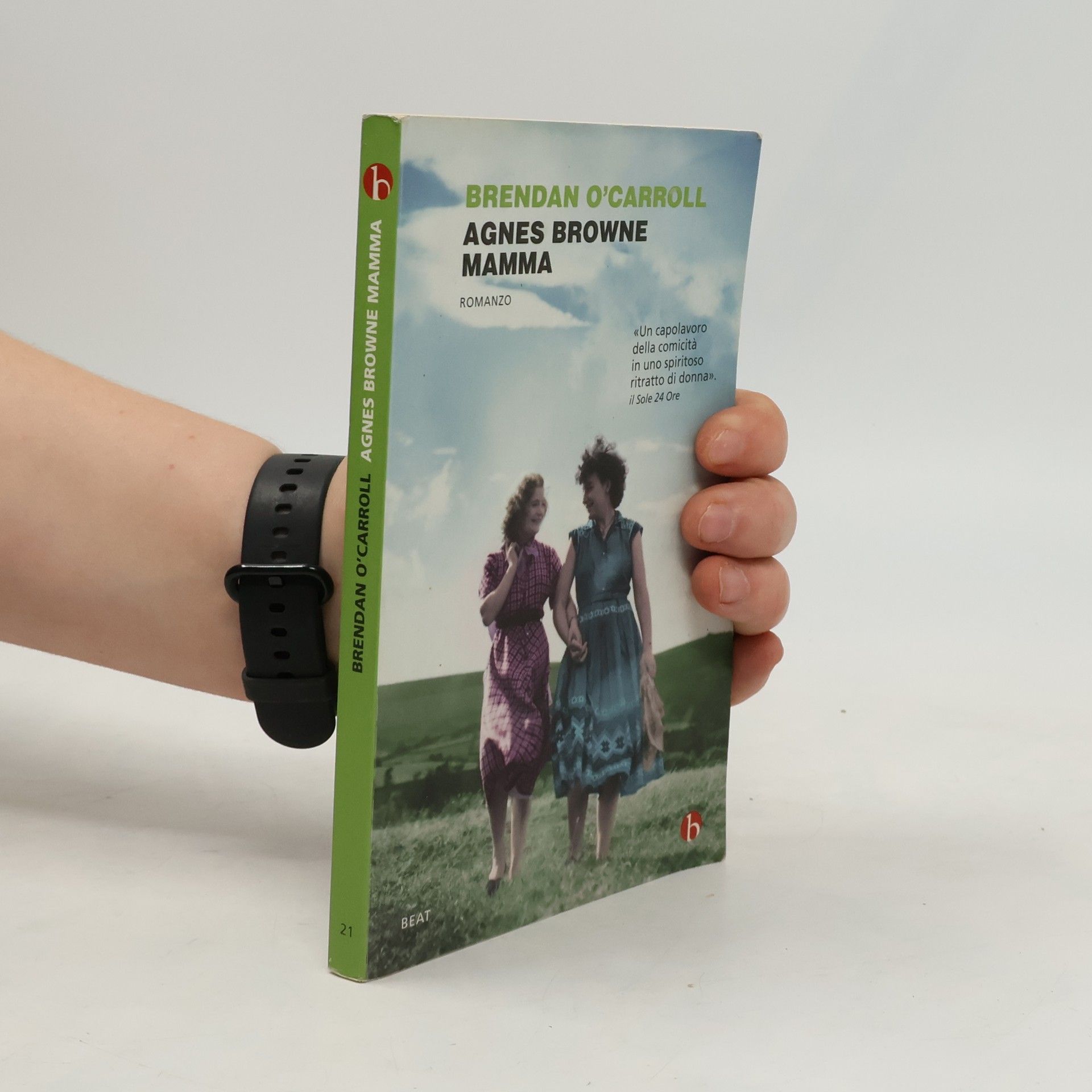 Brendan O'Carroll Agnes Browne mamma