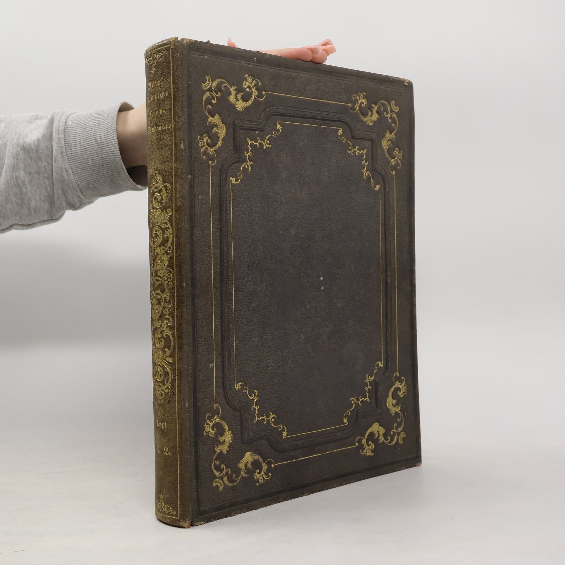 Gustav Heider Mittelalterliche Kunstdenkmale des österreichischen Kaiserstaates