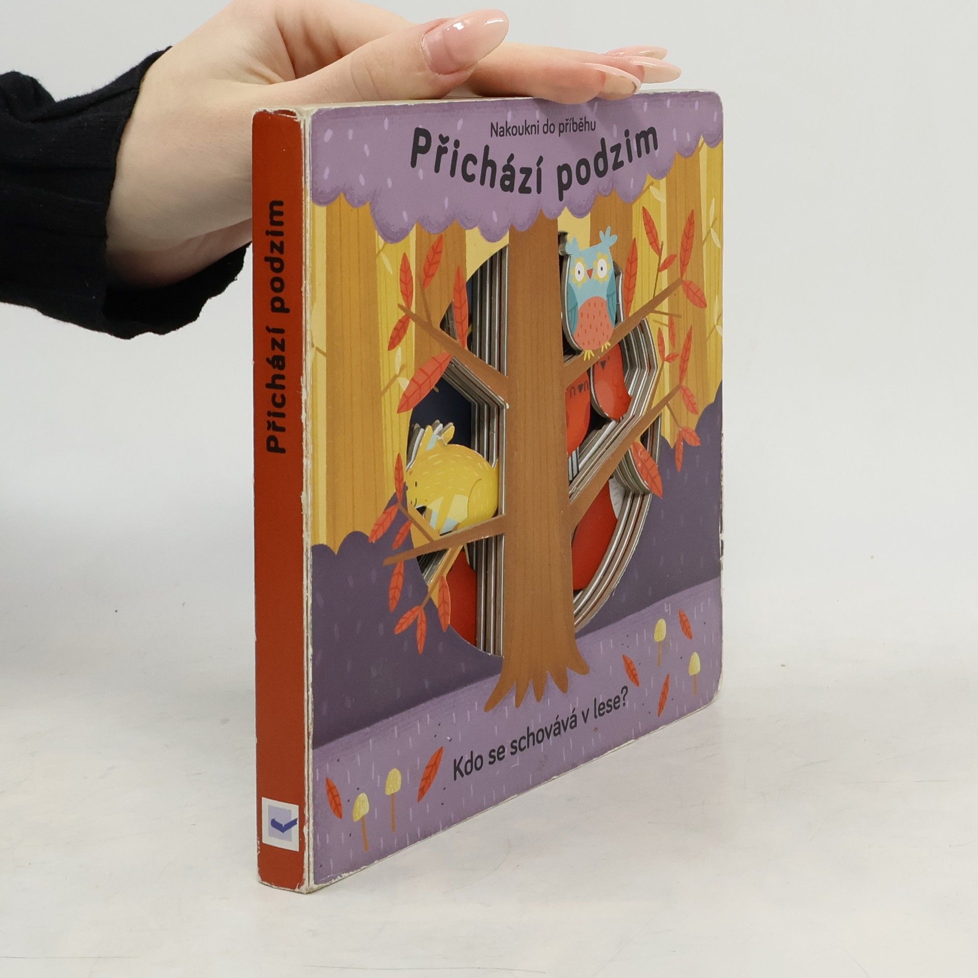 Anne Passchier Přichází podzim : kdo se schovává v lese?