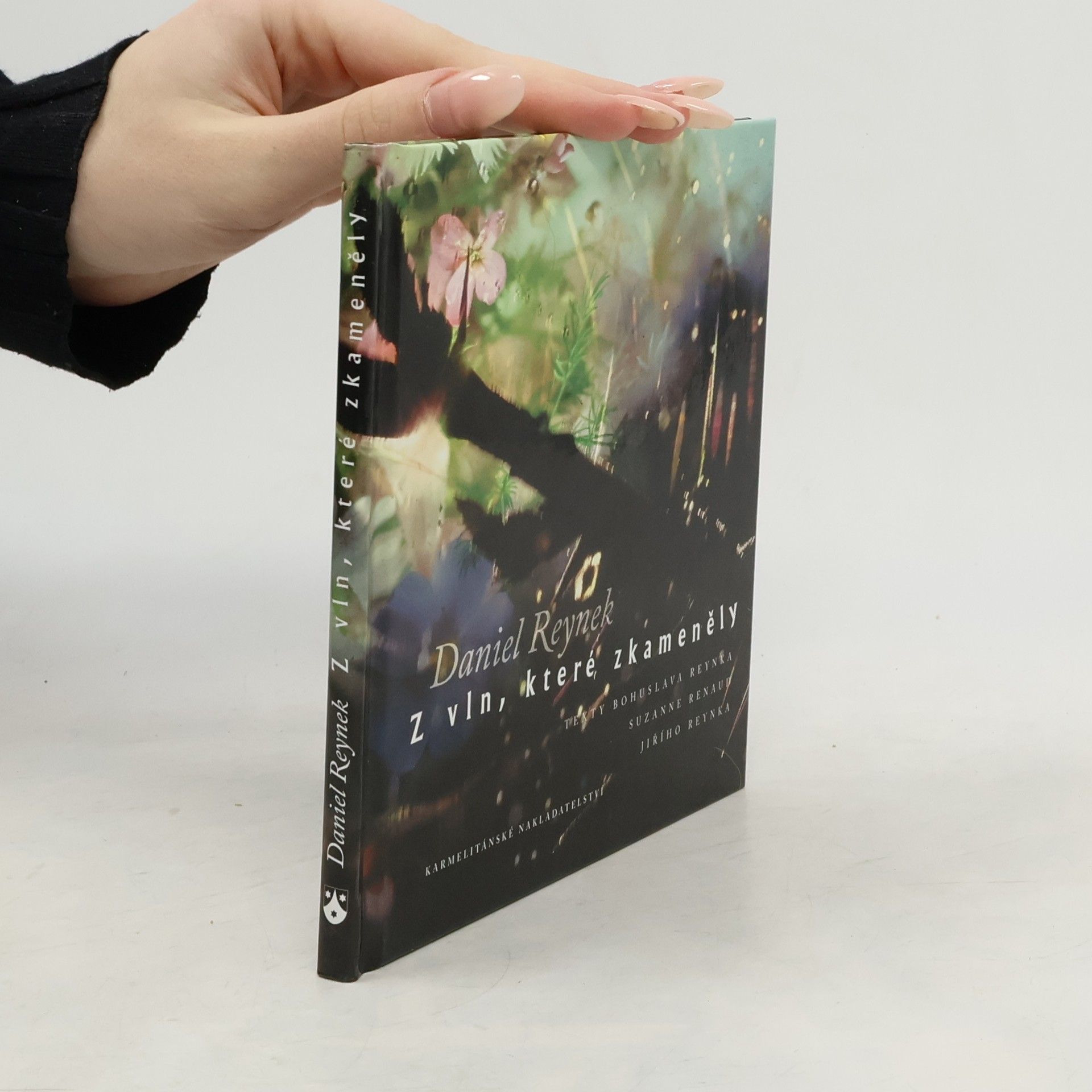 Daniel Reynek Z vln, které zkameněly