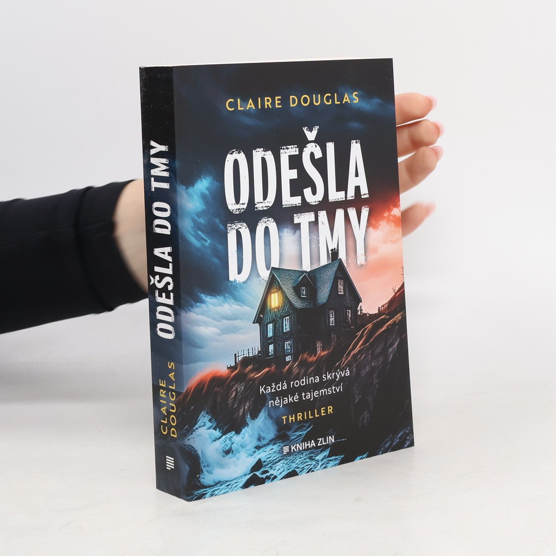 Claire Douglas Odešla do tmy