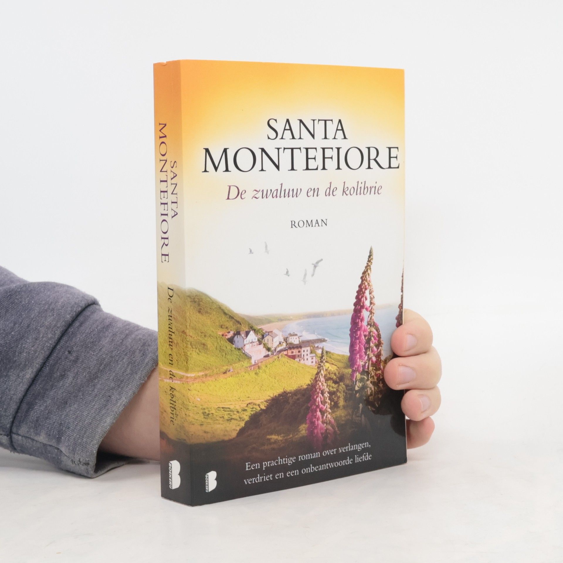 Erica van Rijsewijk De zwaluw en de kolibrie