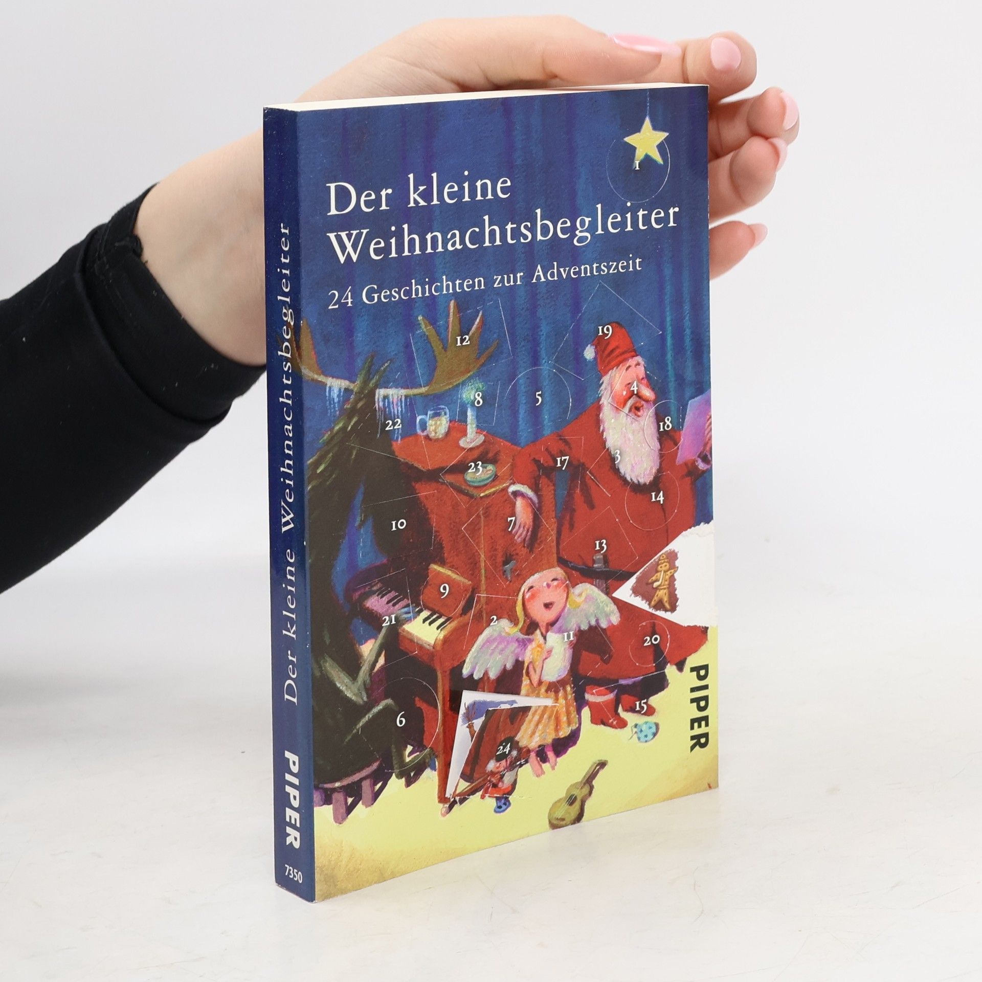 Der kleine Weihnachtsbegleiter