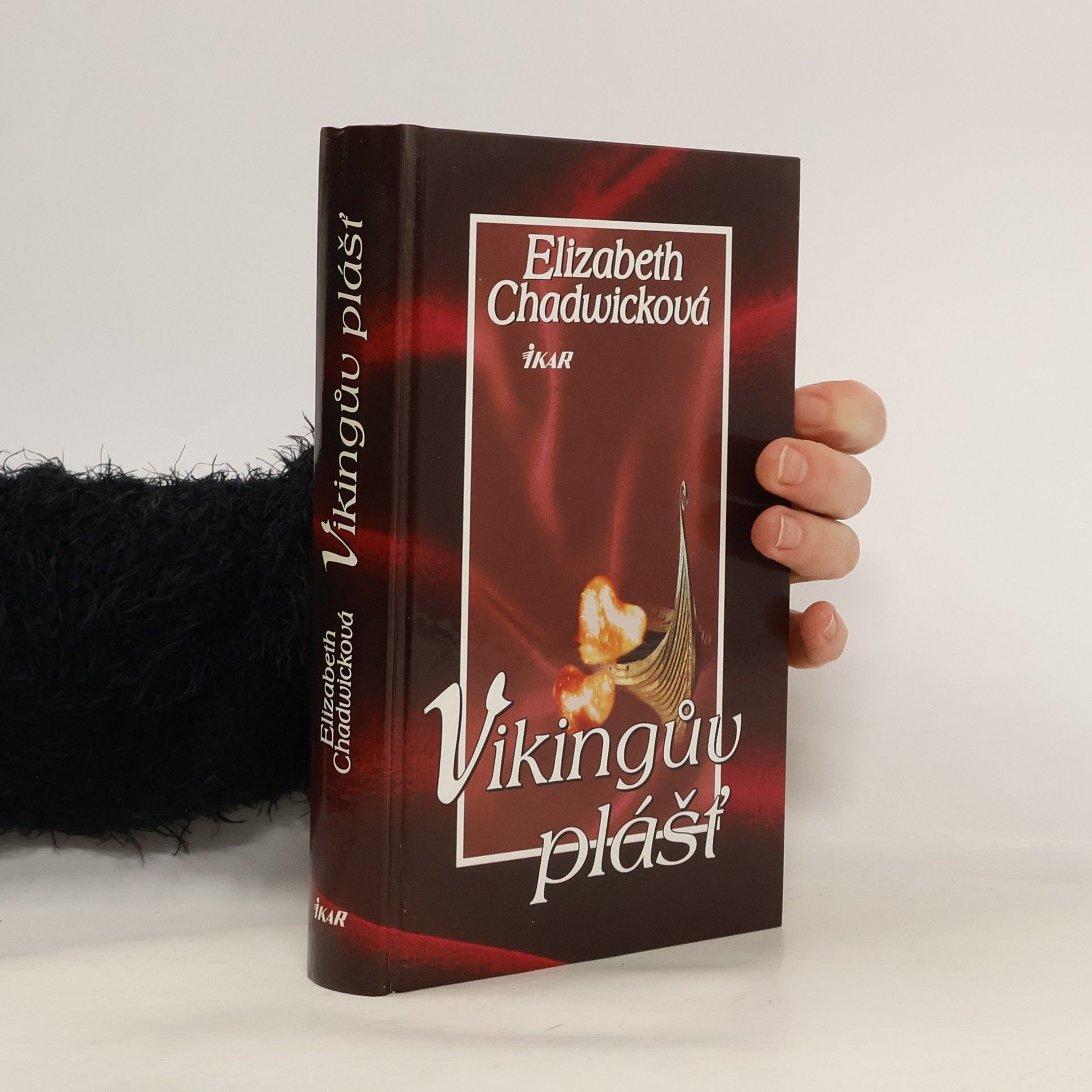 Elizabeth Chadwick Vikingův plášť