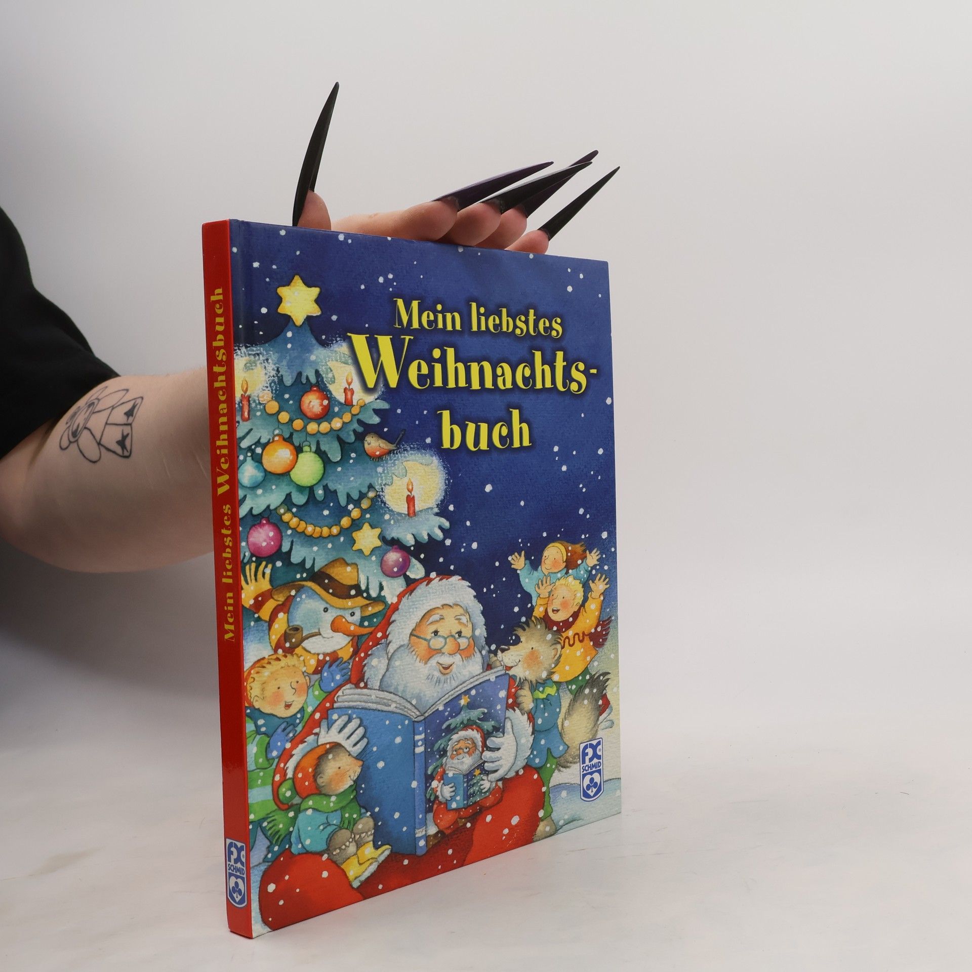 Fabrice Lelarge Mein liebstes Weihnachtsbuch