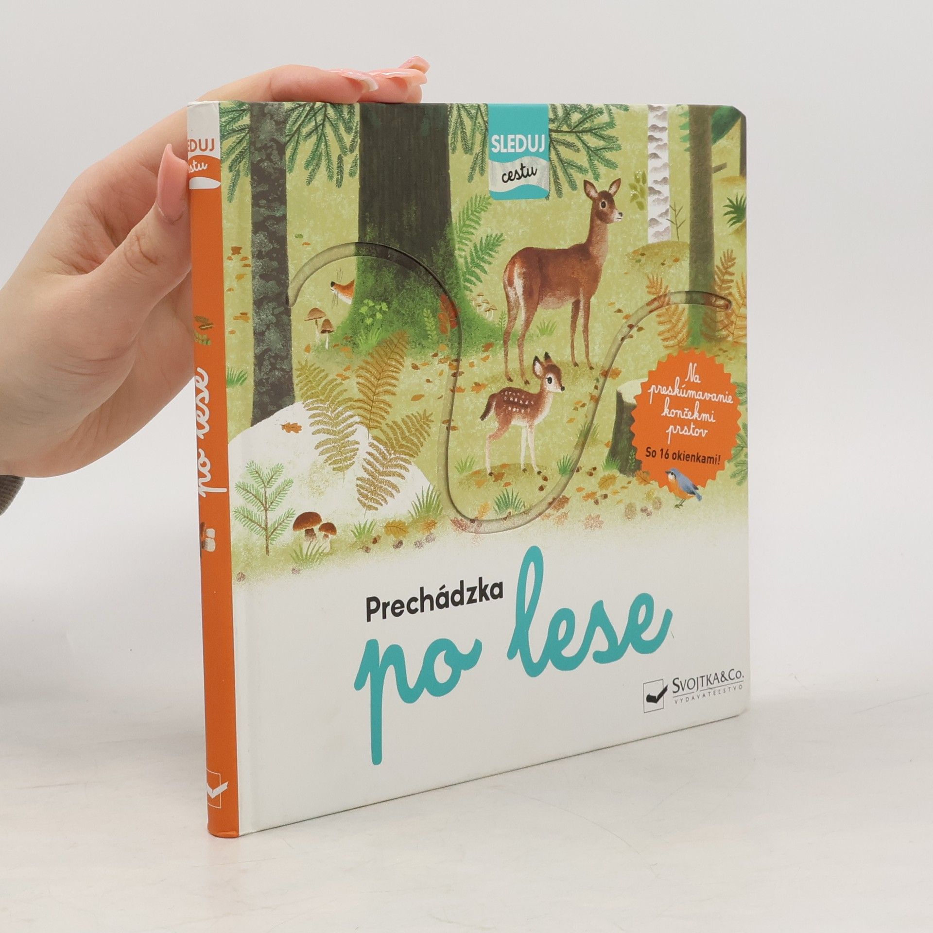 Kolektiv autorů Precházka po lese