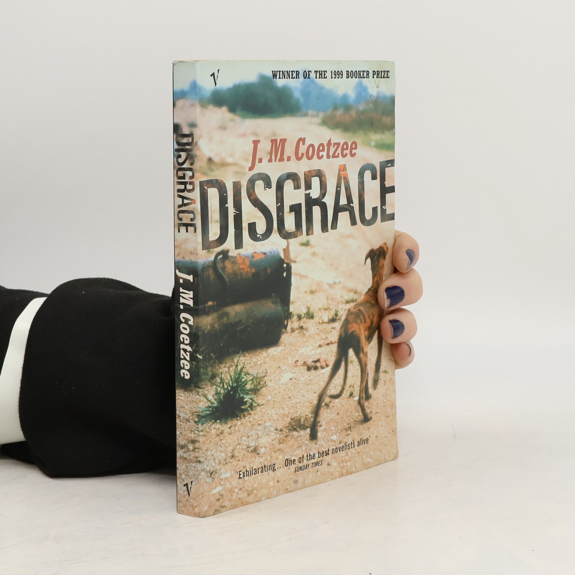 J. M. Coetzee Disgrace