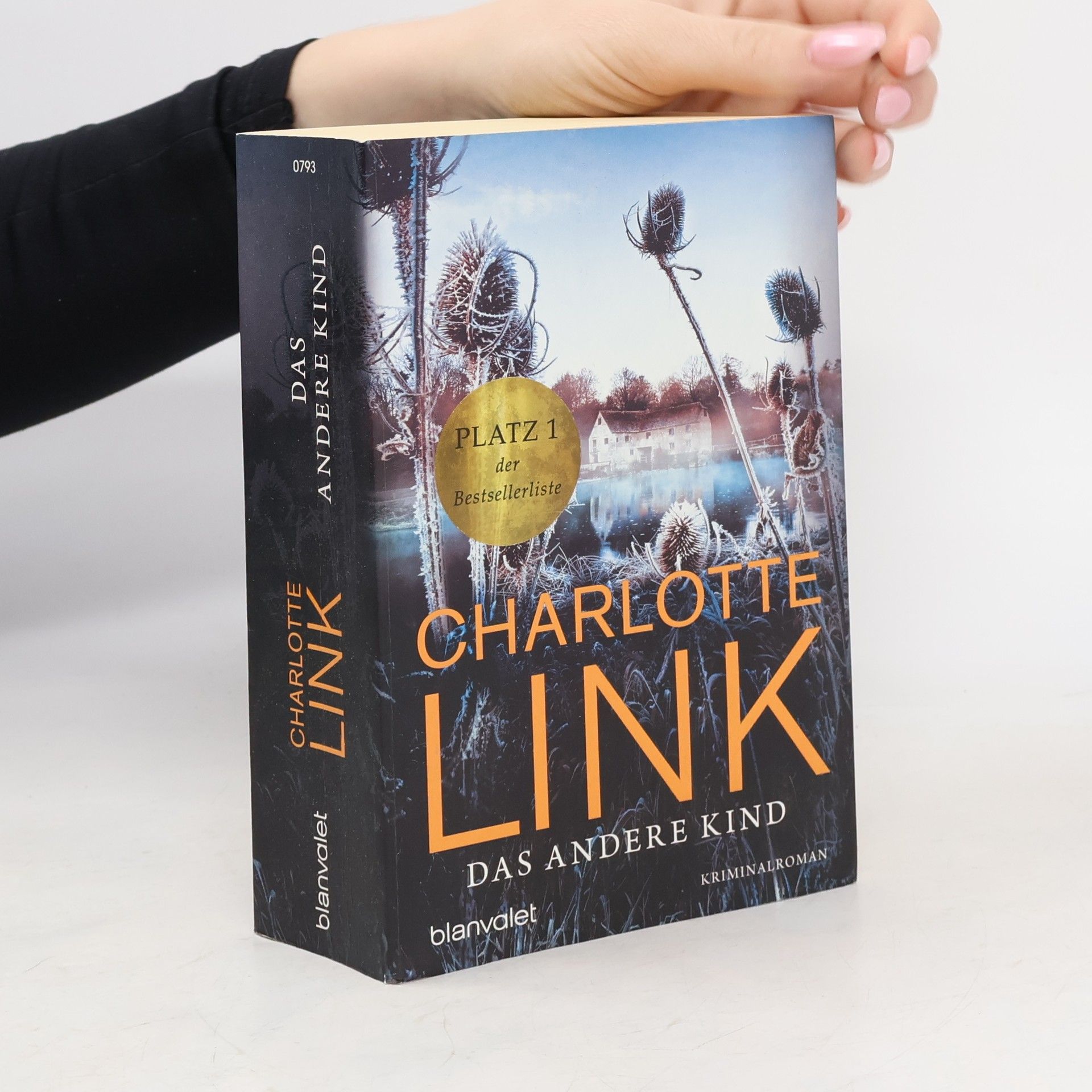 Charlotte Link Das andere Kind