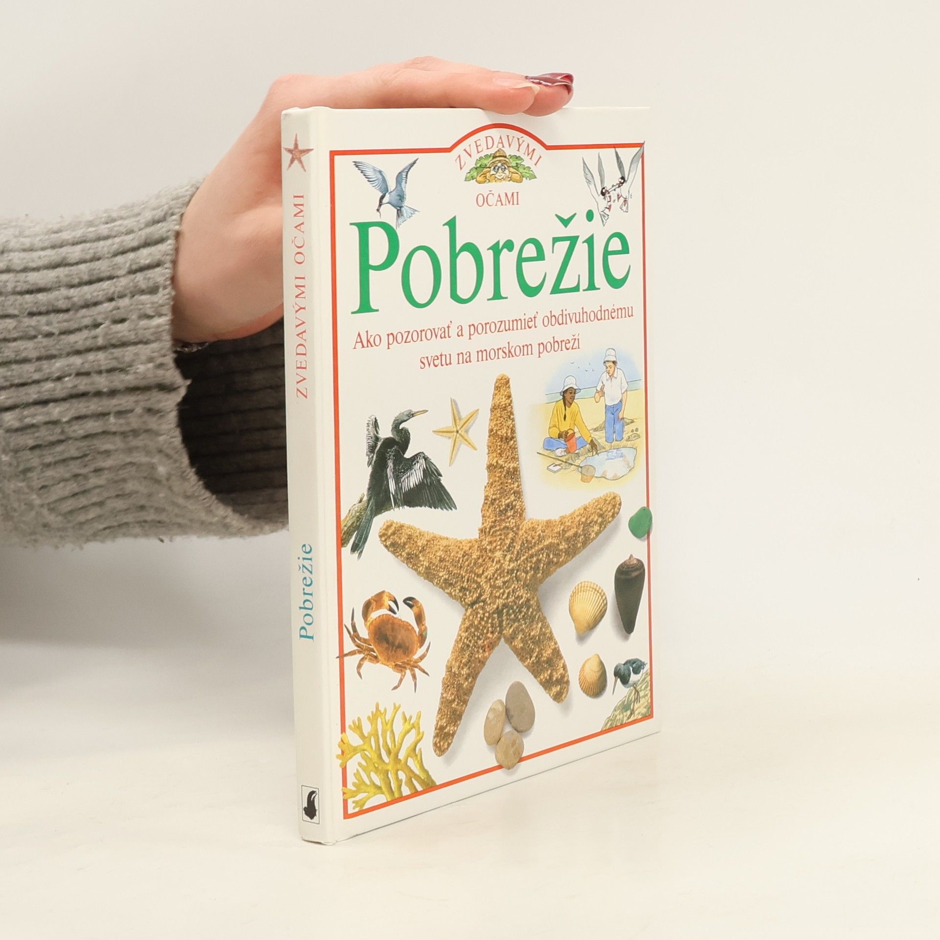 David Burnie Pobrežie