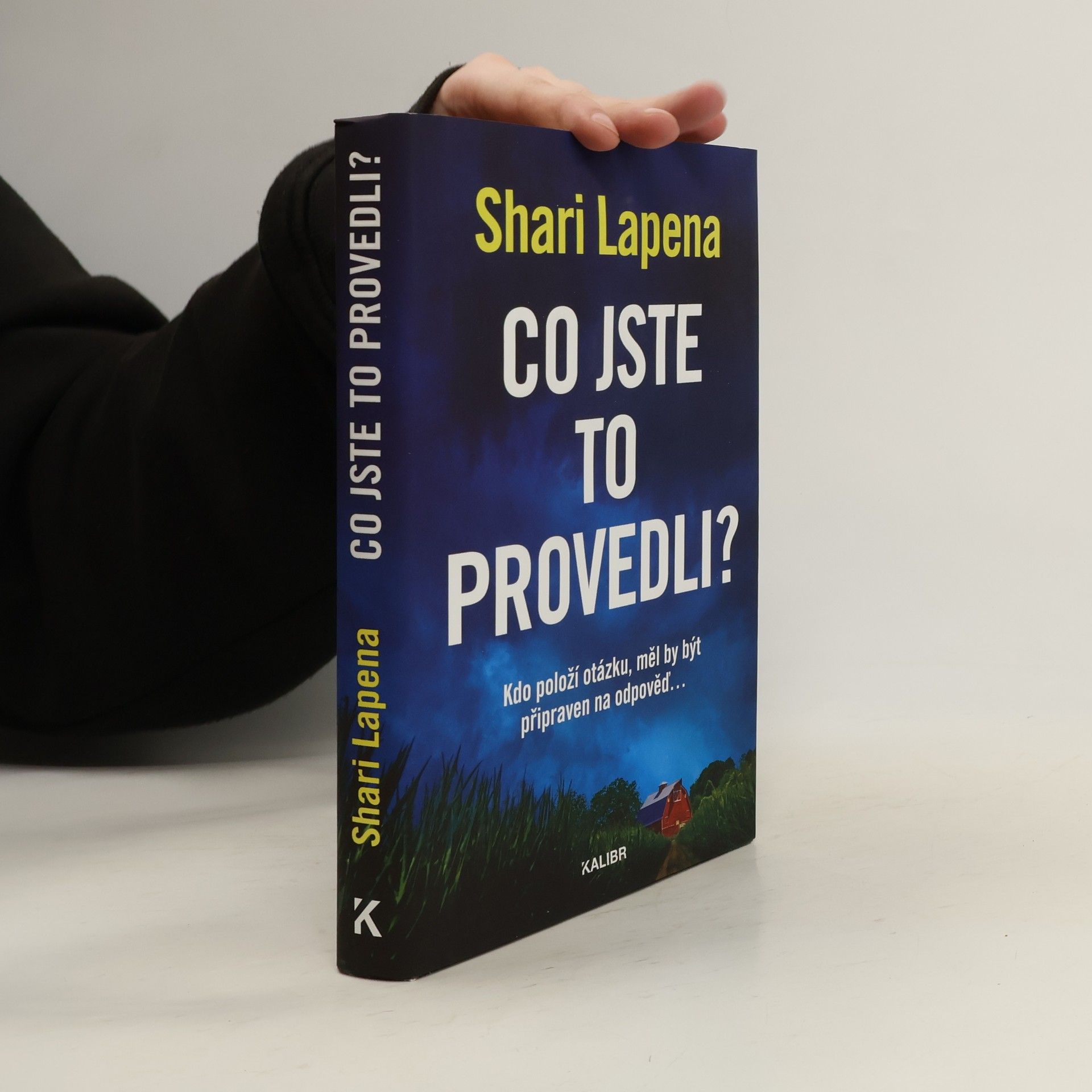 Shari Lapena Co jste to provedli?