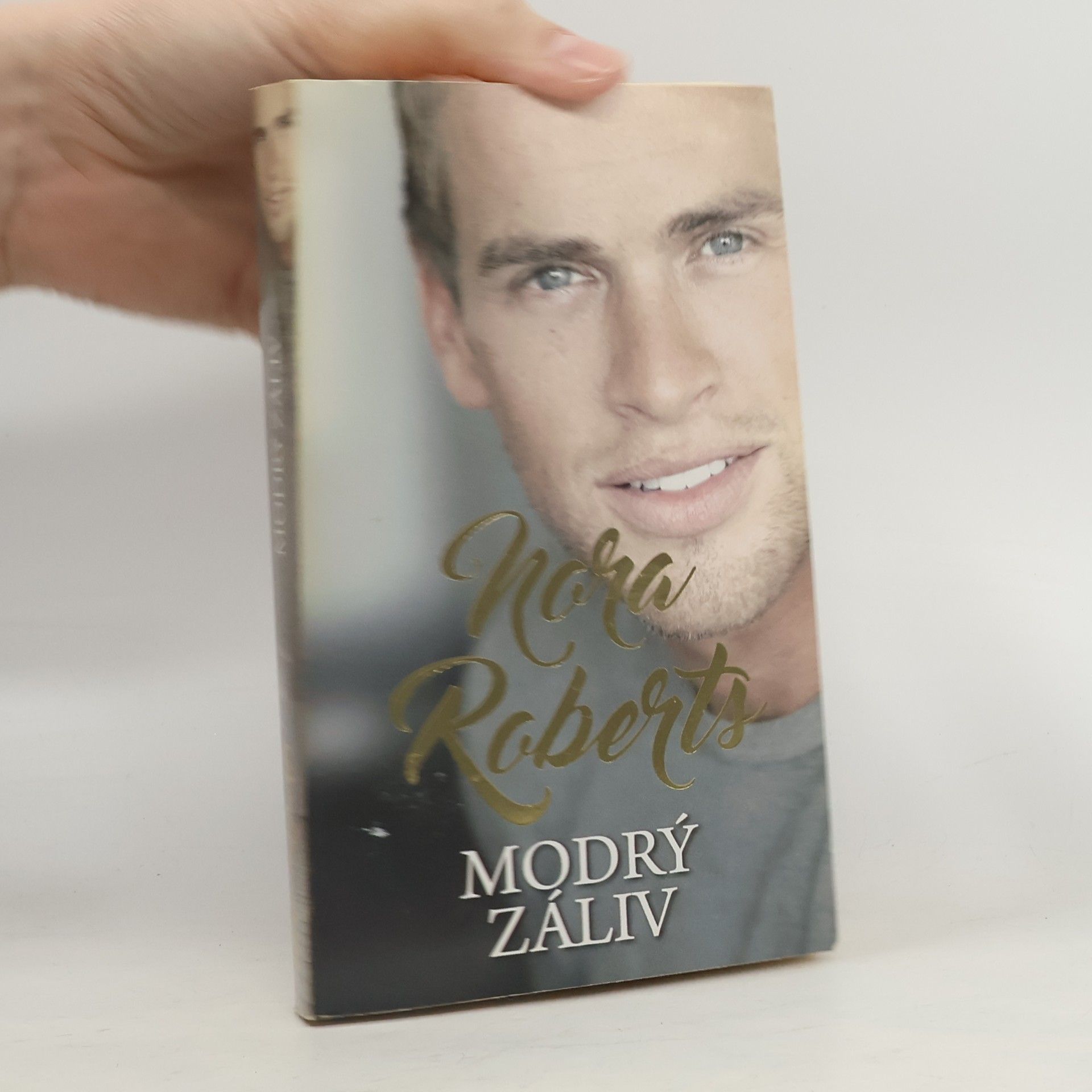 Nora Roberts Modrý záliv