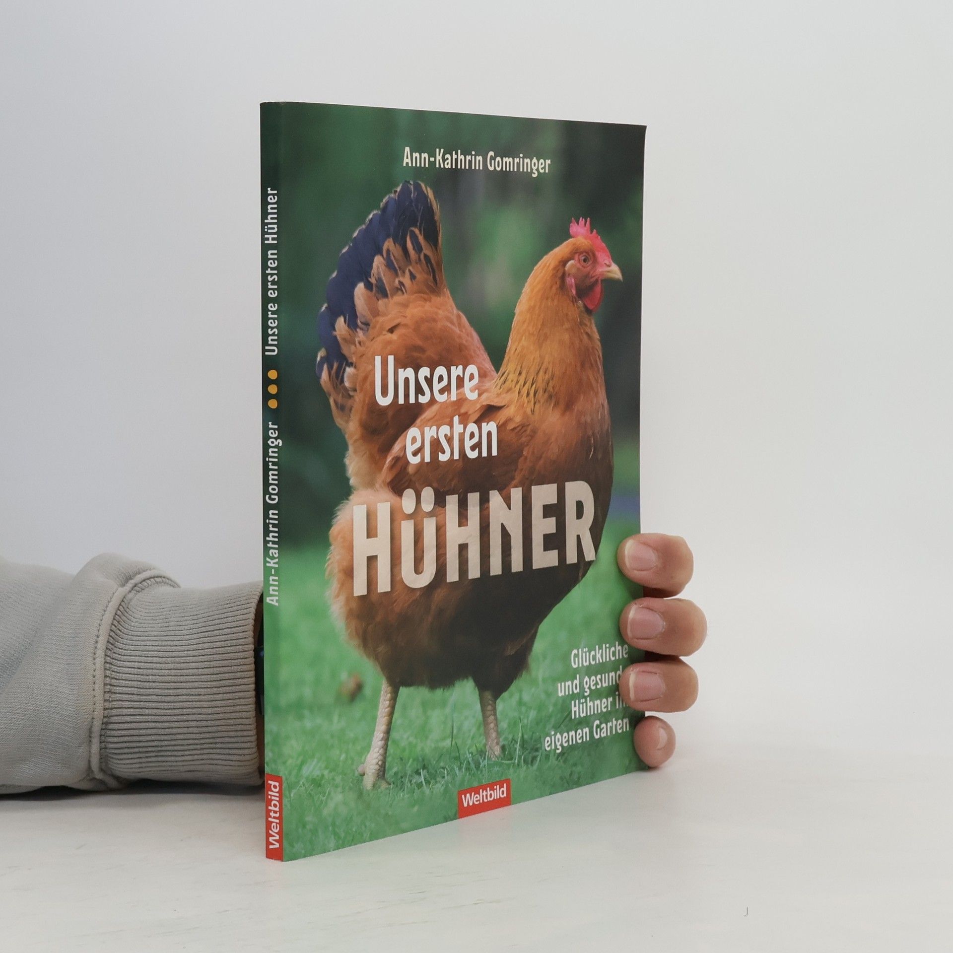 Unsere ersten Hühner