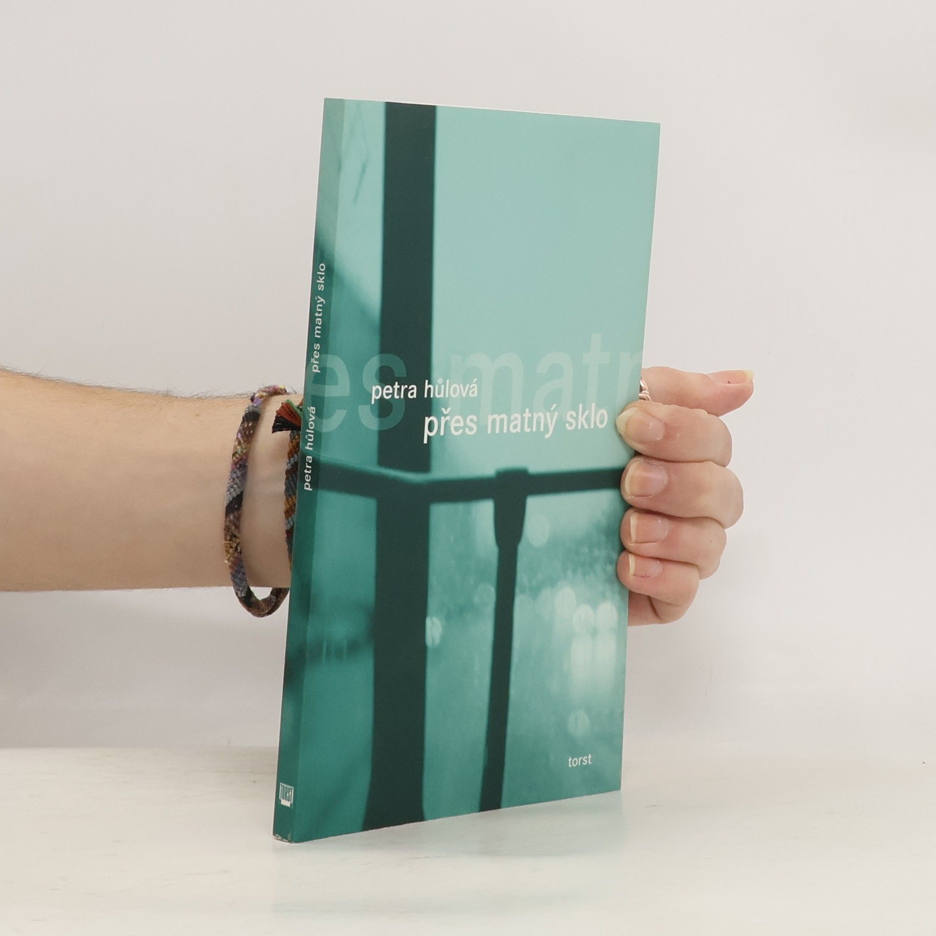 Petra Hůlová Přes matný sklo