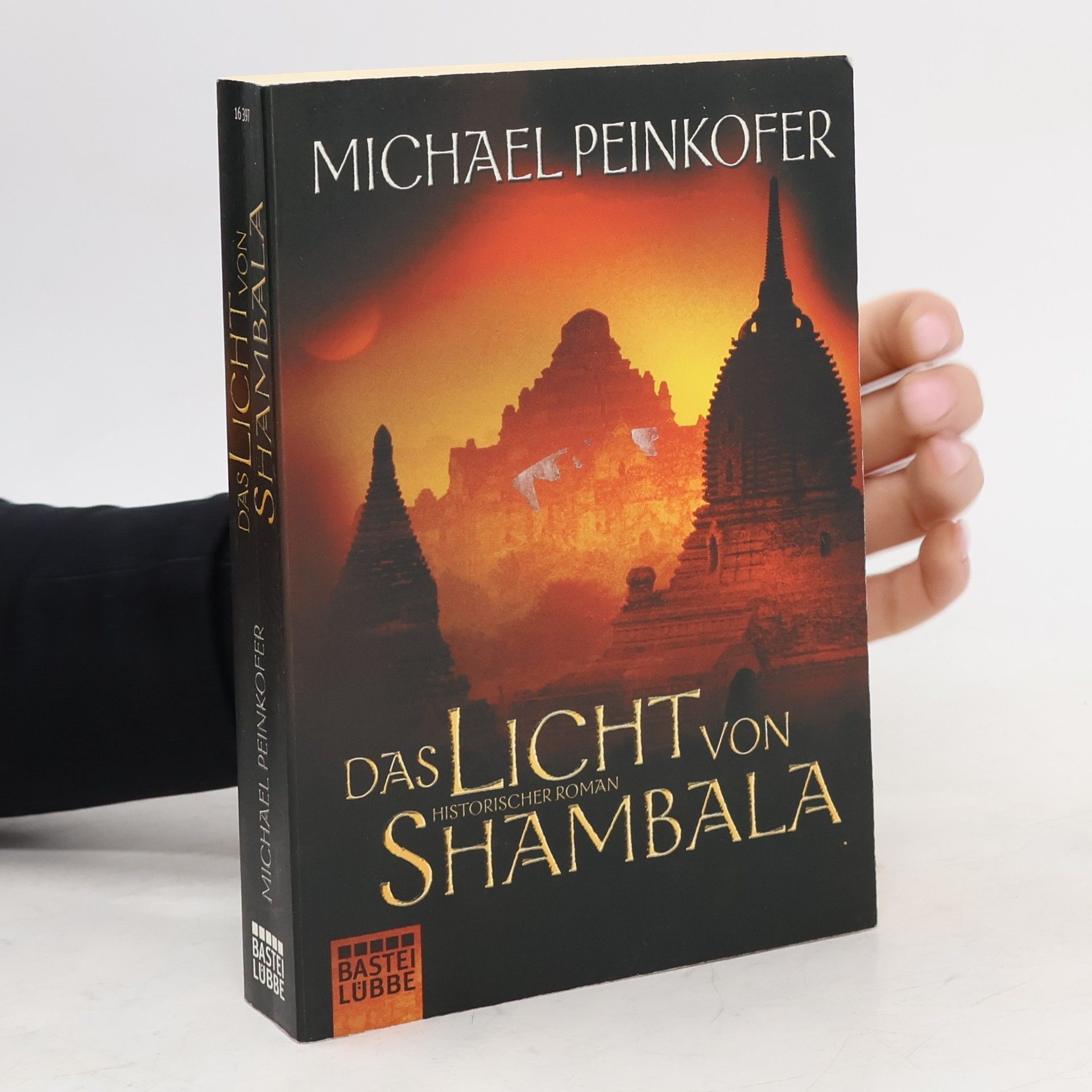 Michael Peinkofer Das Licht von Shambala