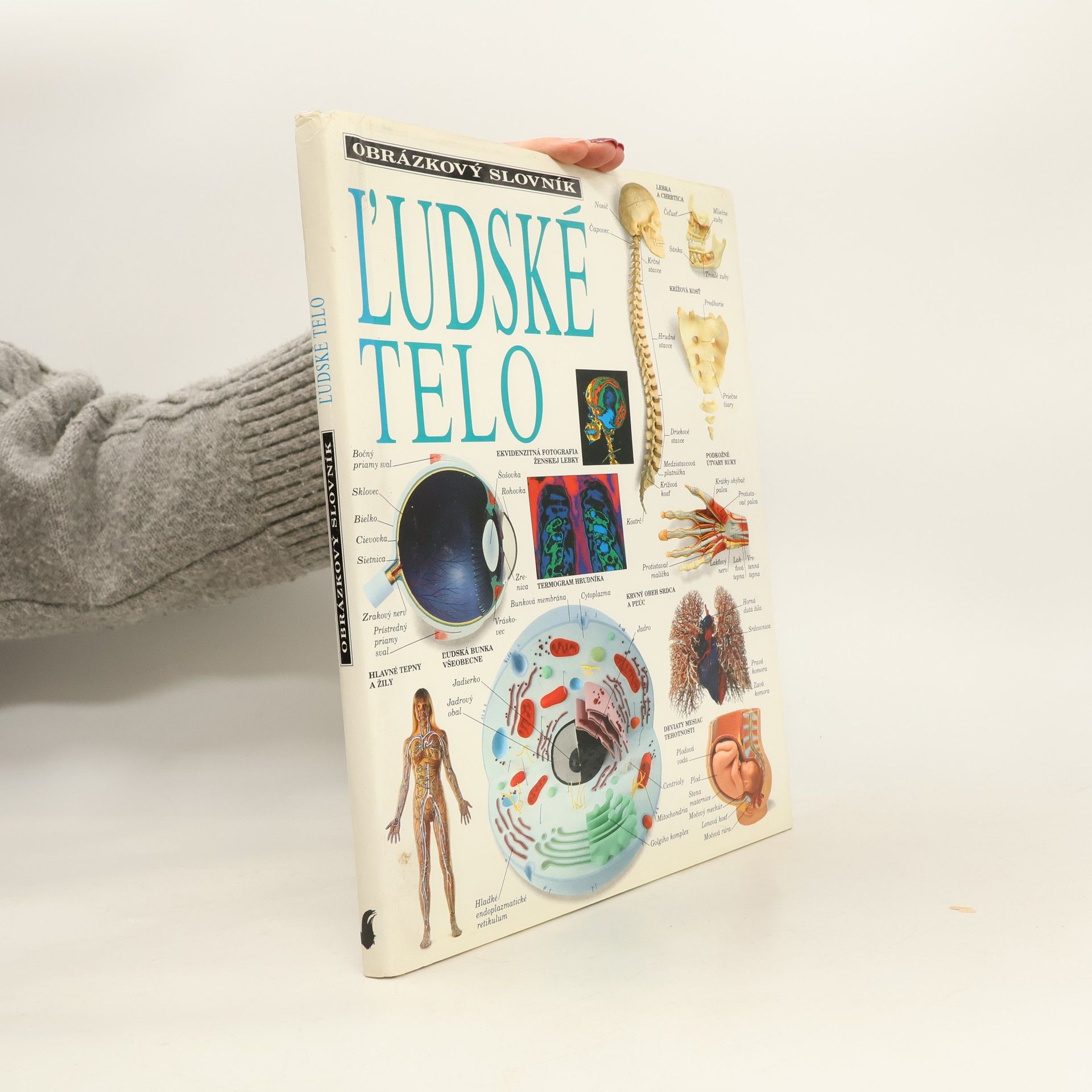 Collectif d'auteurs ľudské telo