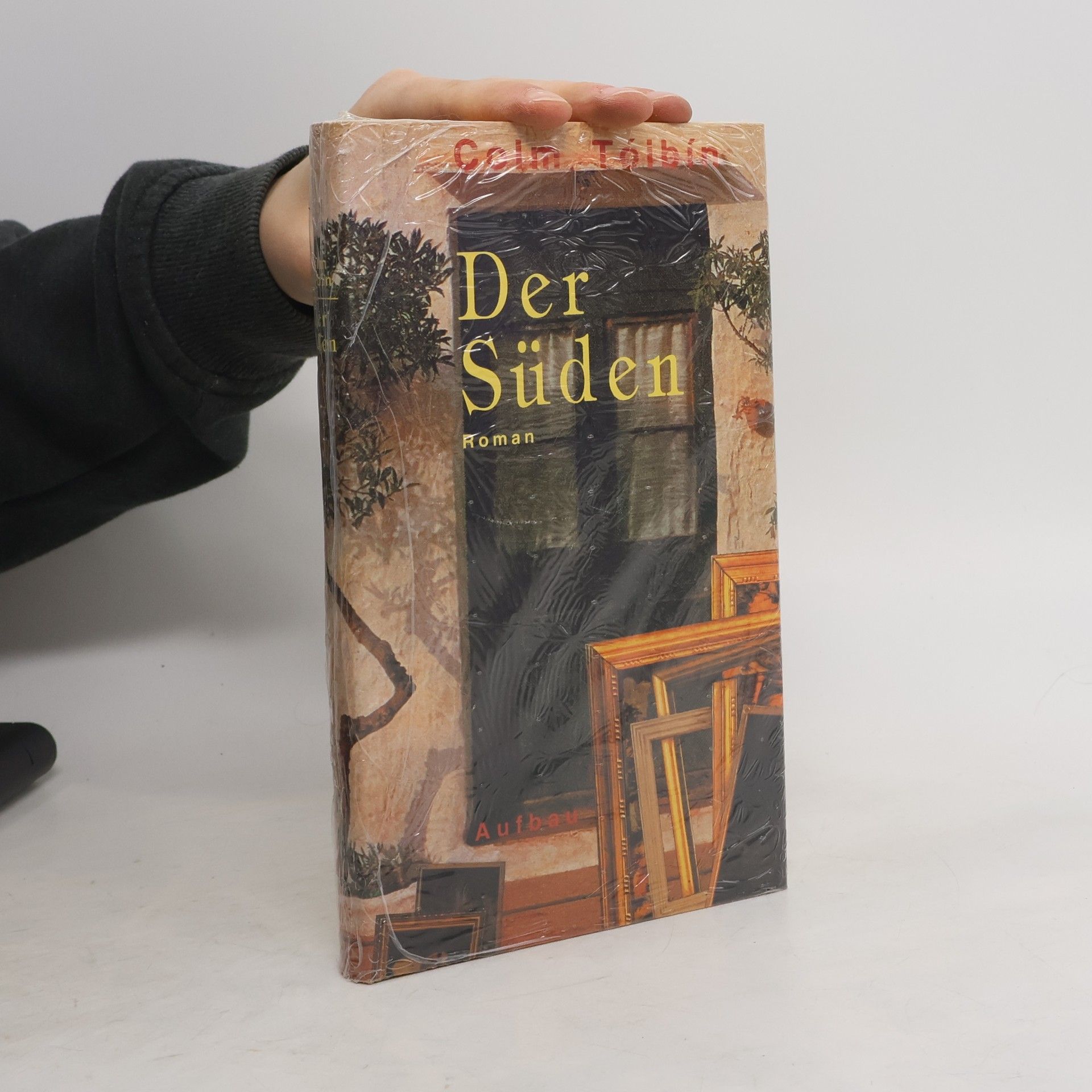 Colm Tóibín Der Süden