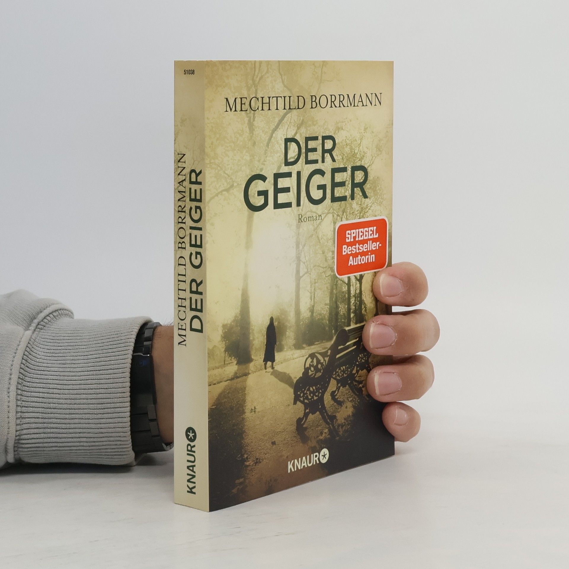 Mechtild Borrmann Der Geiger