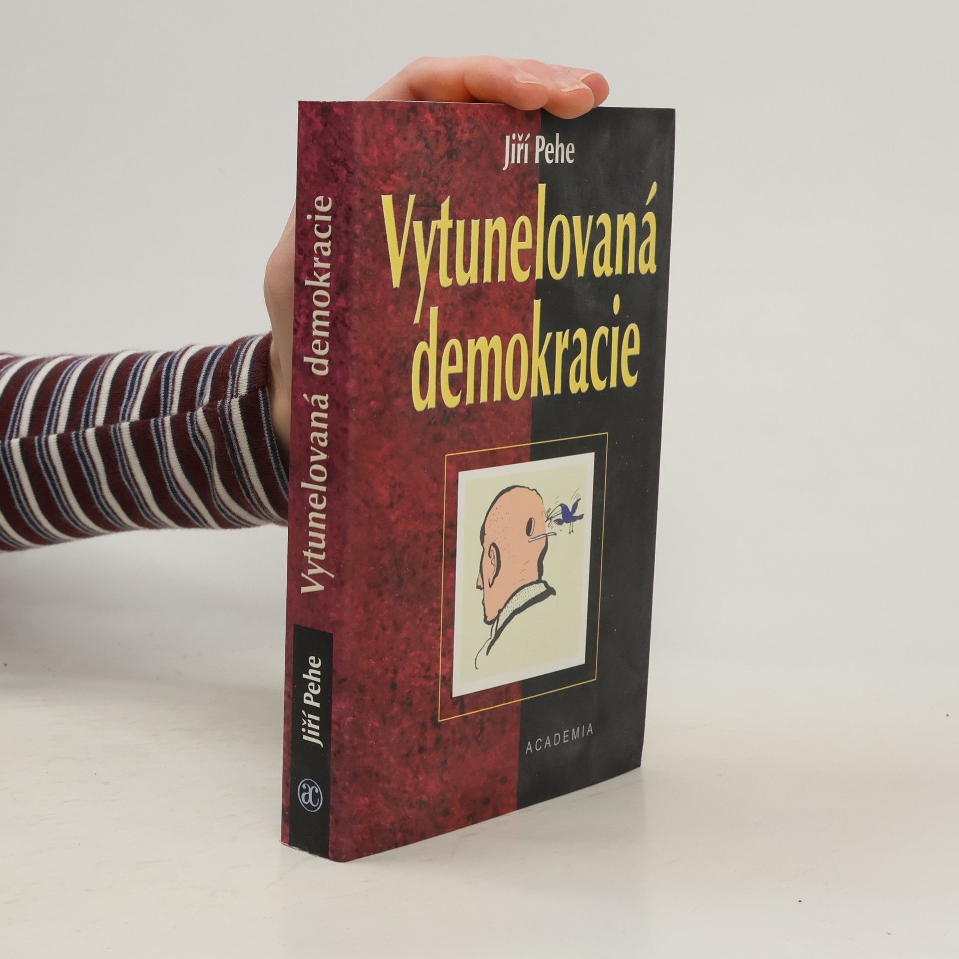 Vytunelovaná demokracie