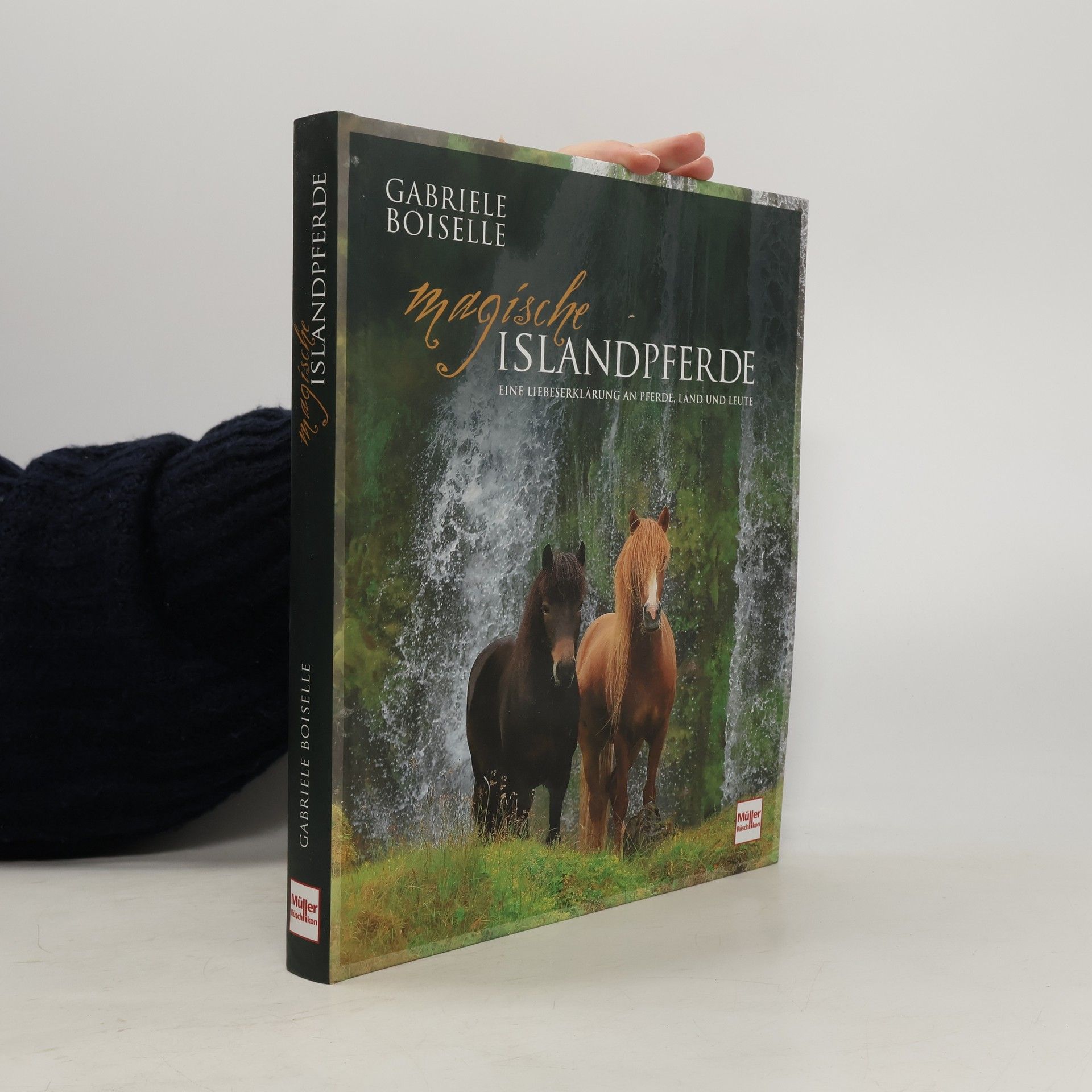 Magische Islandpferde