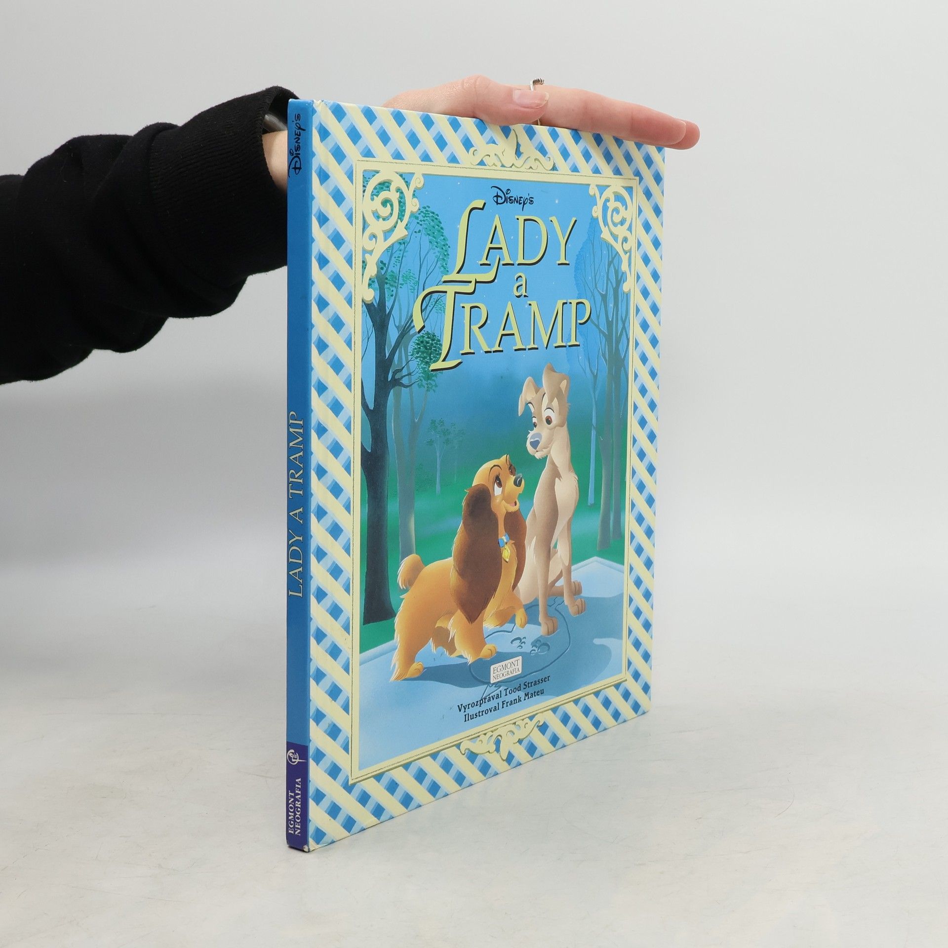 Walt Disney Lady a Tramp