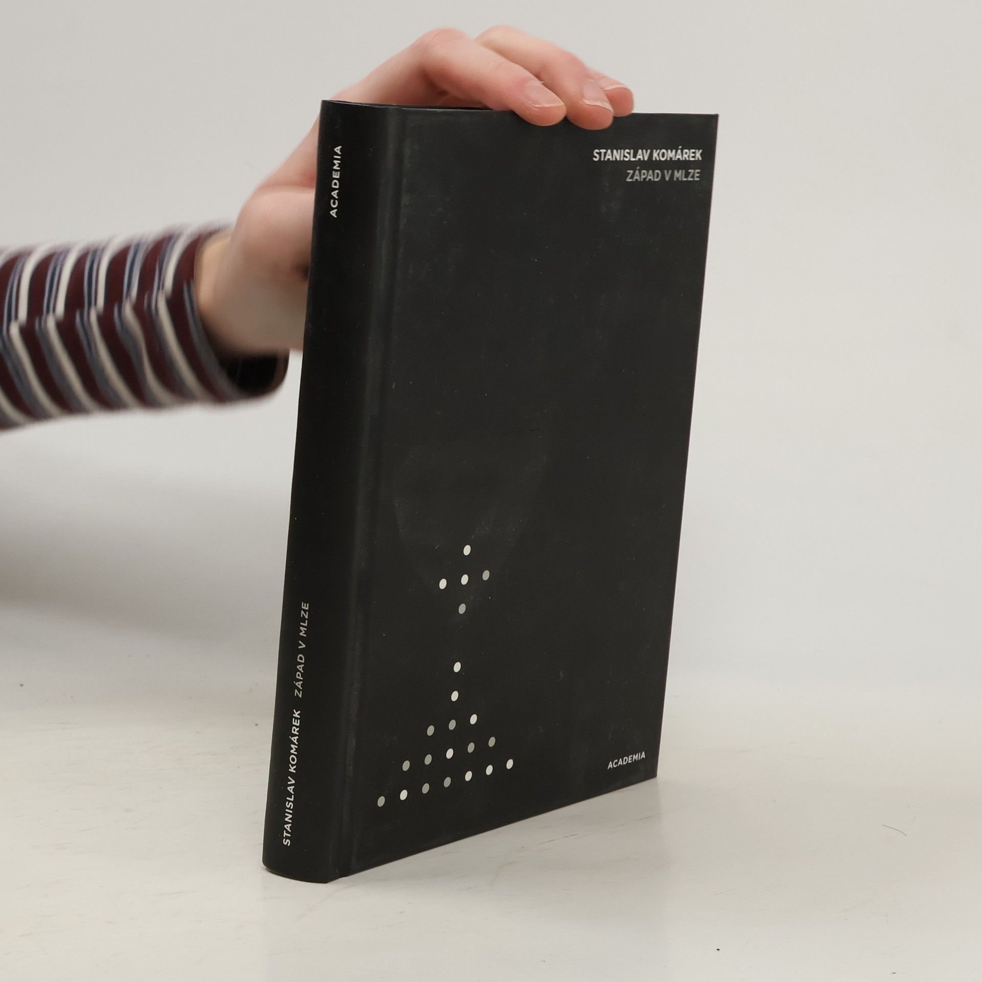 Stanislav Komárek Západ v mlze