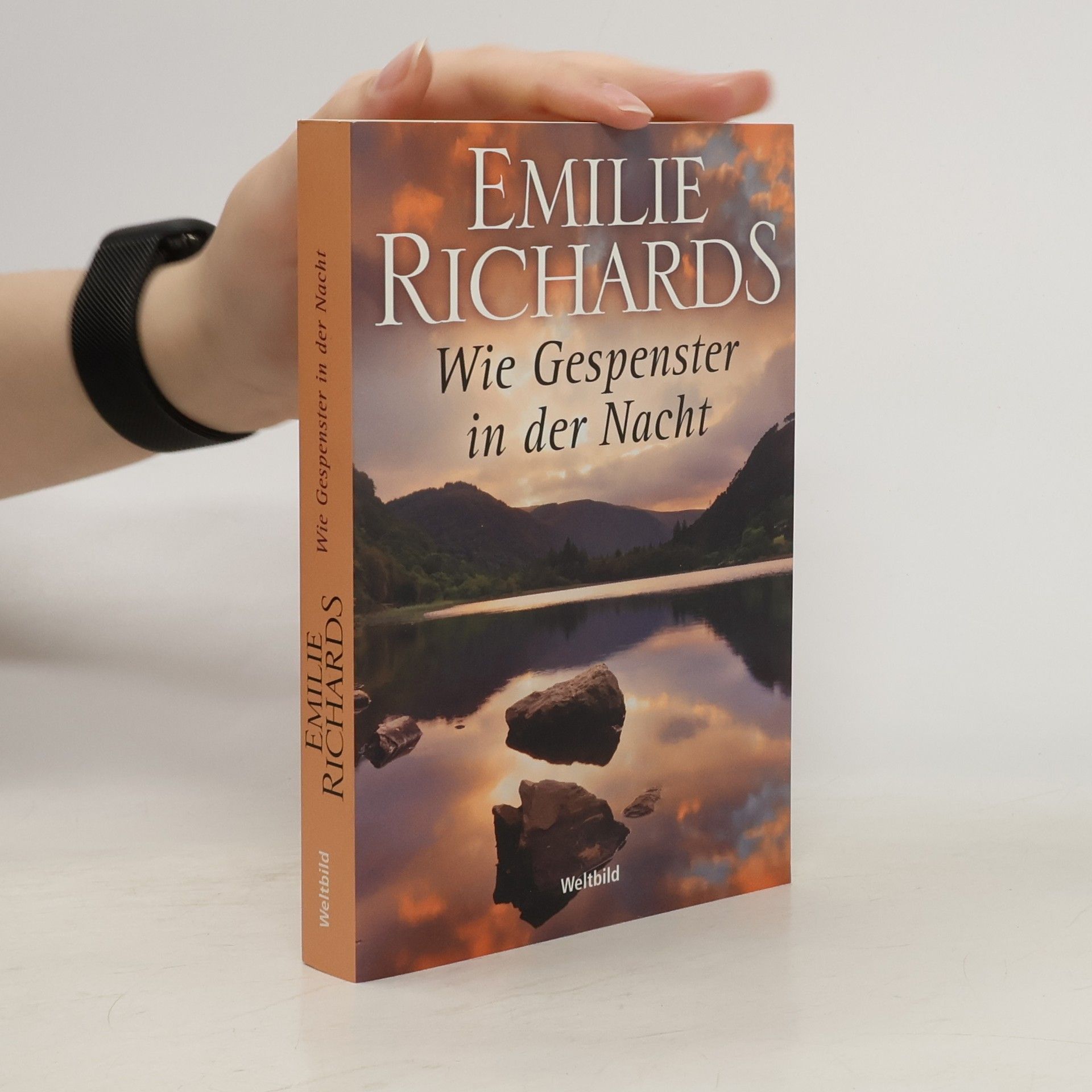 Emilie Richards McGee Wie Gespenster in der Nacht