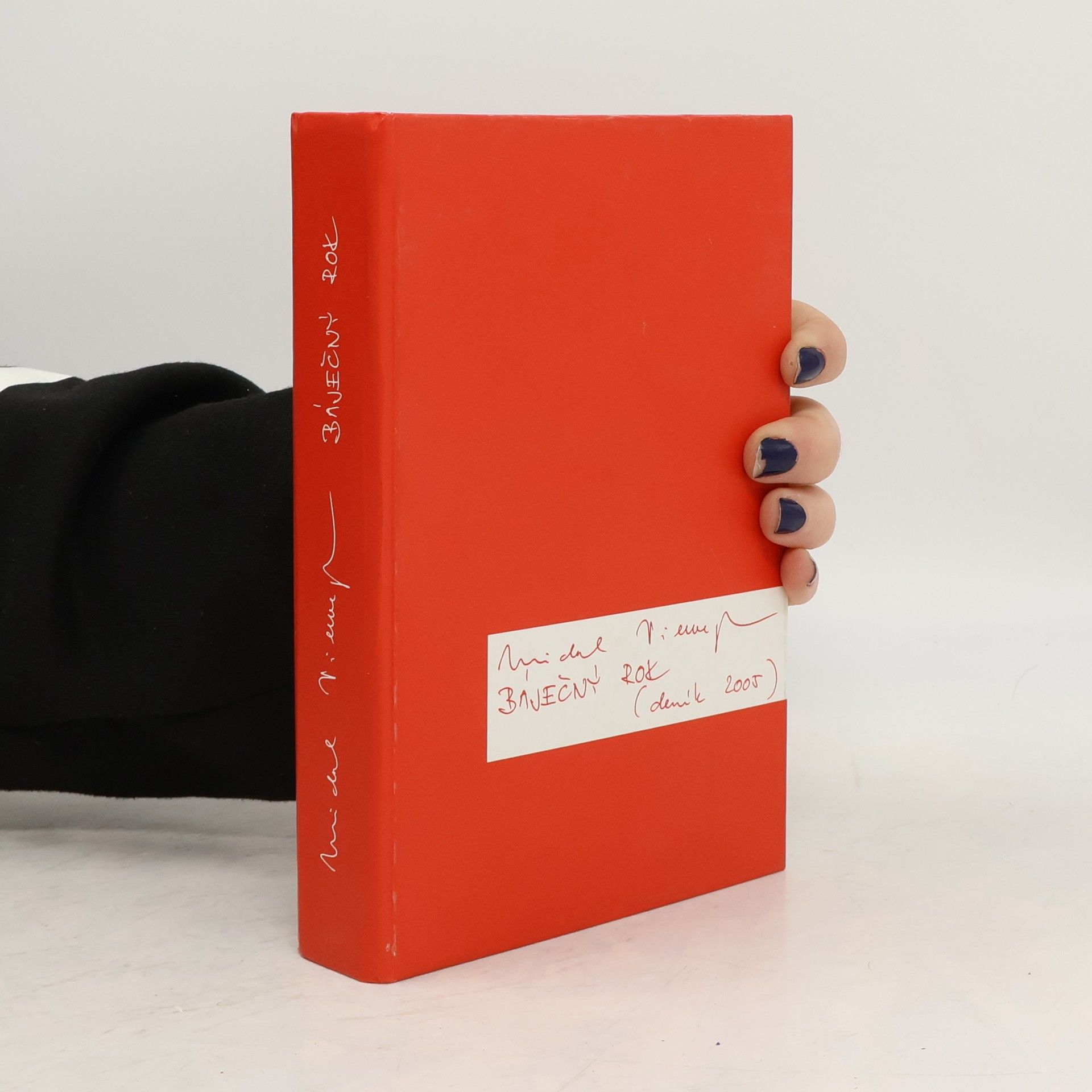 Michal Viewegh Báječný rok