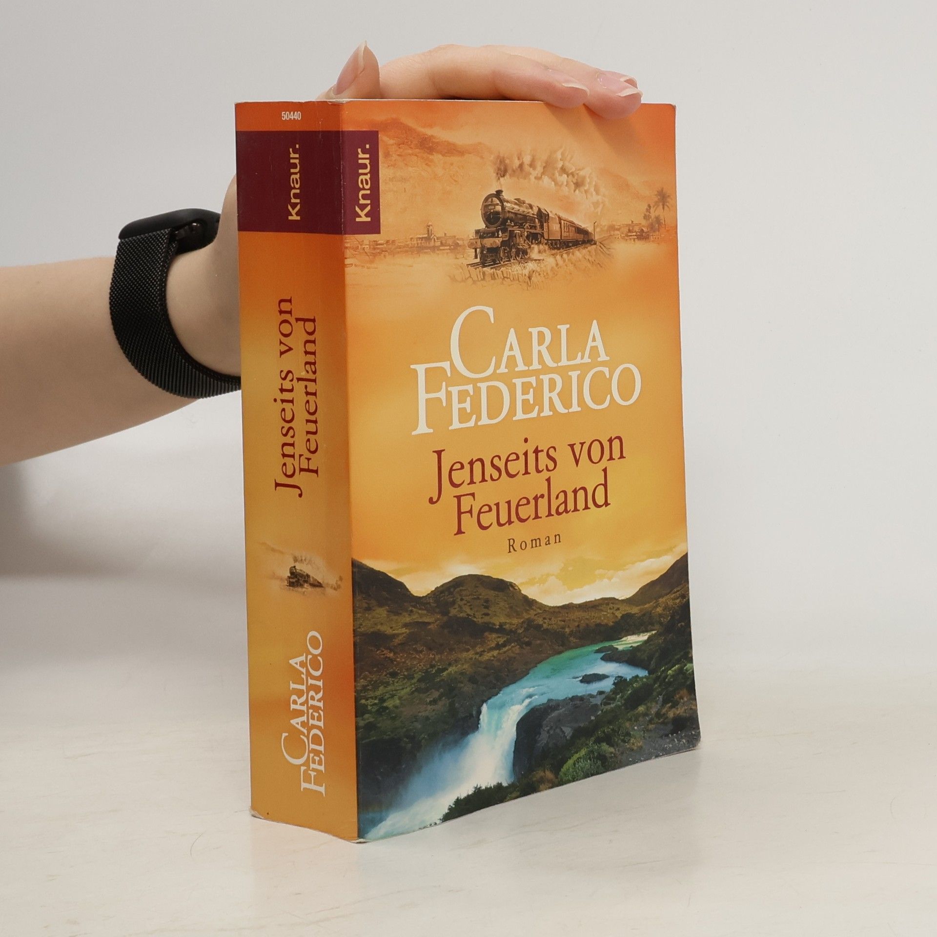 Julia Kröhn Jenseits von Feuerland